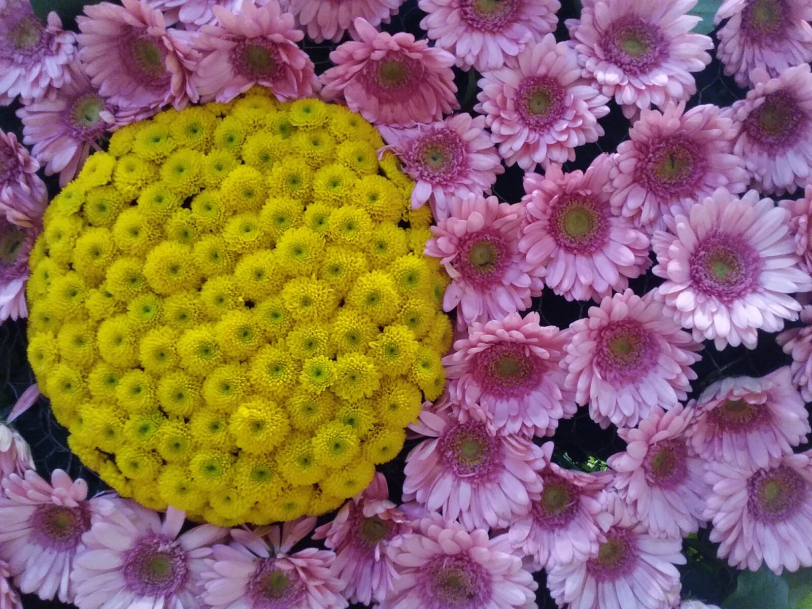 Samsung Galaxy J3(2016) sample photo
