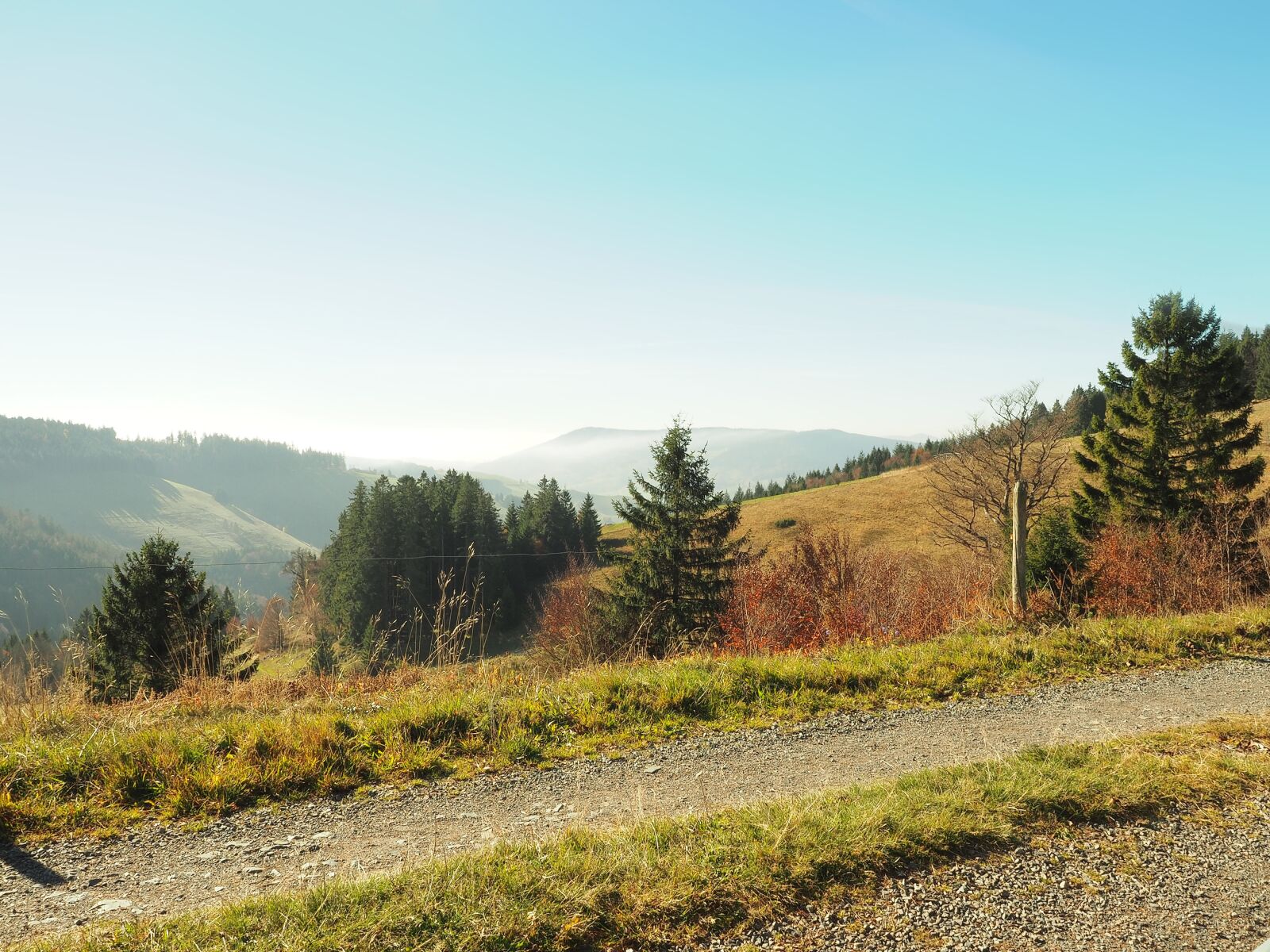 Olympus OM-D E-M1 + Olympus M.Zuiko Digital ED 12-40mm F2.8 Pro sample photo. Black forest, germany, landscape photography