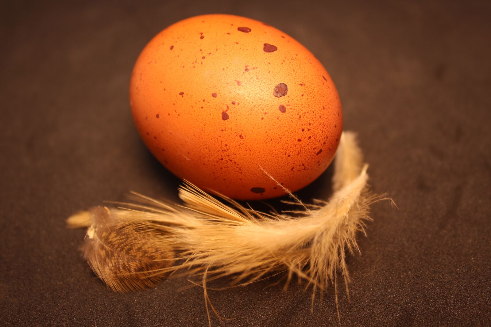 Canon EOS 700D (EOS Rebel T5i / EOS Kiss X7i) sample photo. Egg, brown, food photography