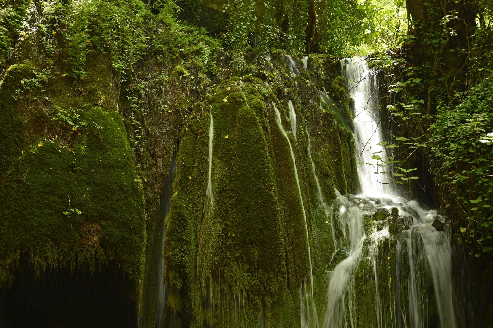 Nikon D3200 sample photo. Waterfall, cascade, bach photography