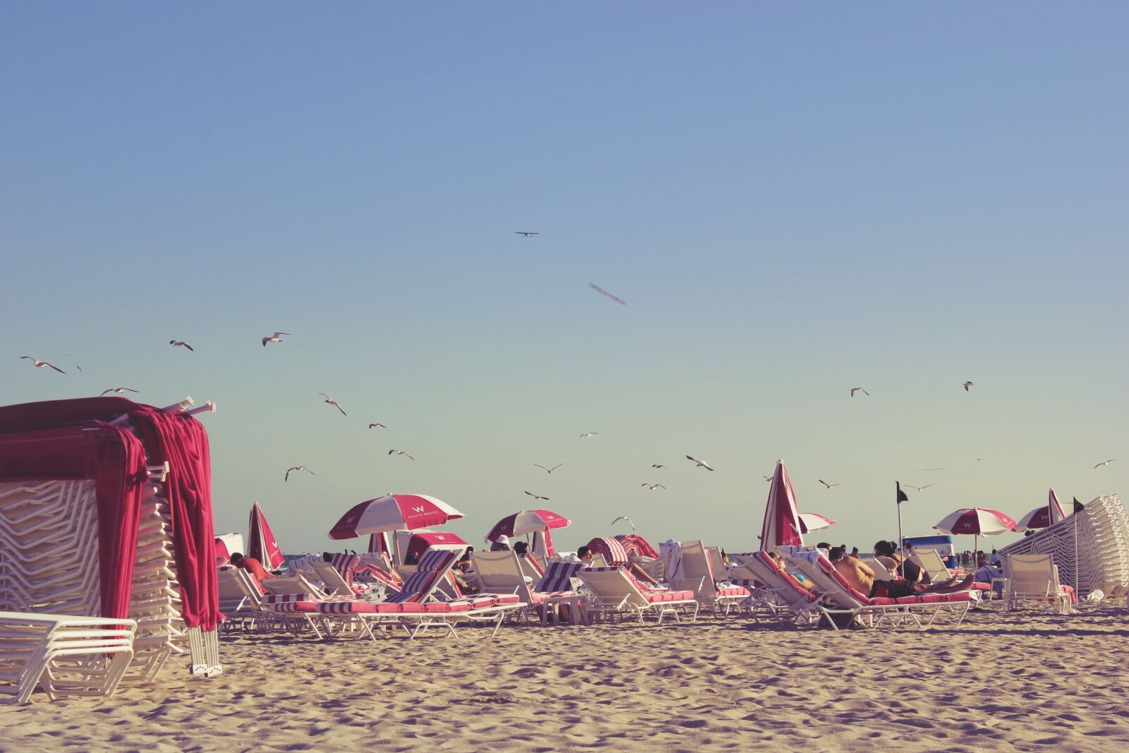 Canon EOS 550D (EOS Rebel T2i / EOS Kiss X4) sample photo. Beach, miami, summer photography