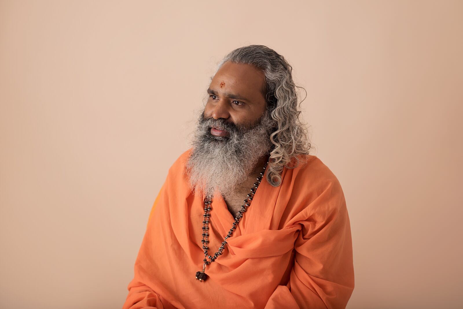 Nikon D750 sample photo. Swami ananda saraswati, yoga photography