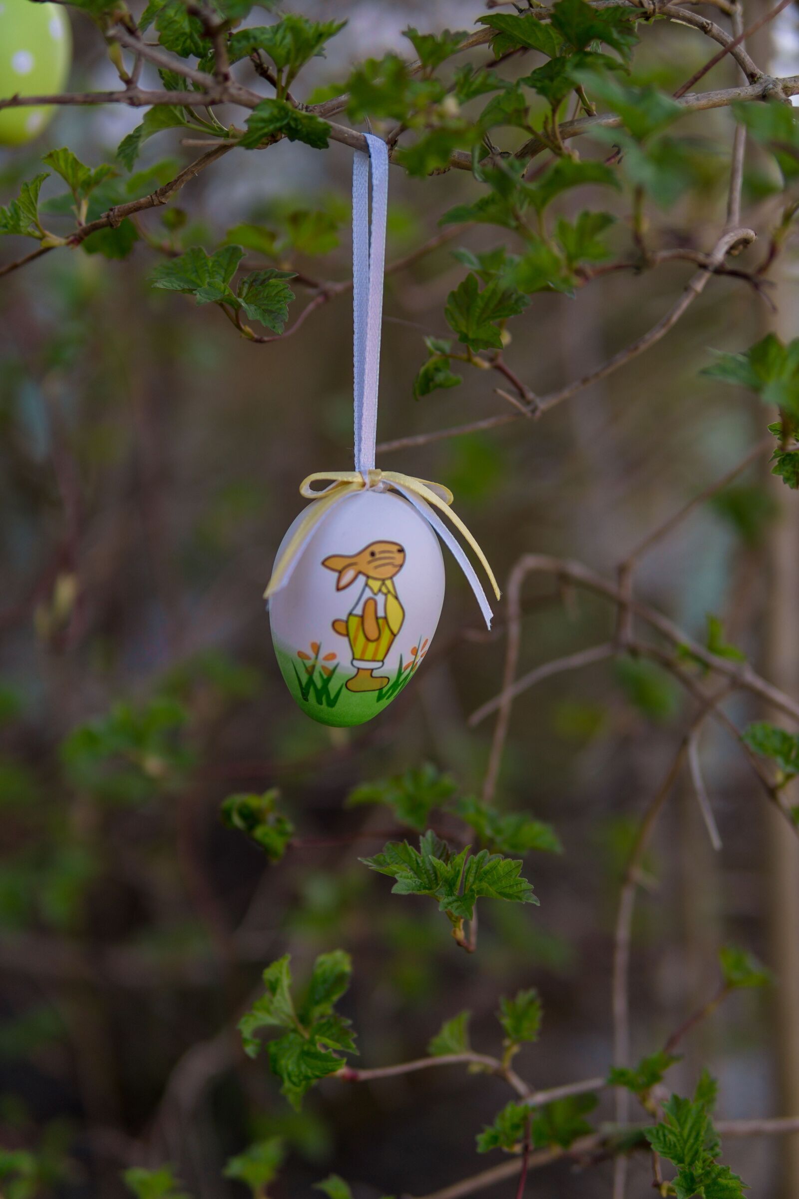 30mm F1.4 DC DN | Contemporary 016 sample photo. Bush, green, easter egg photography