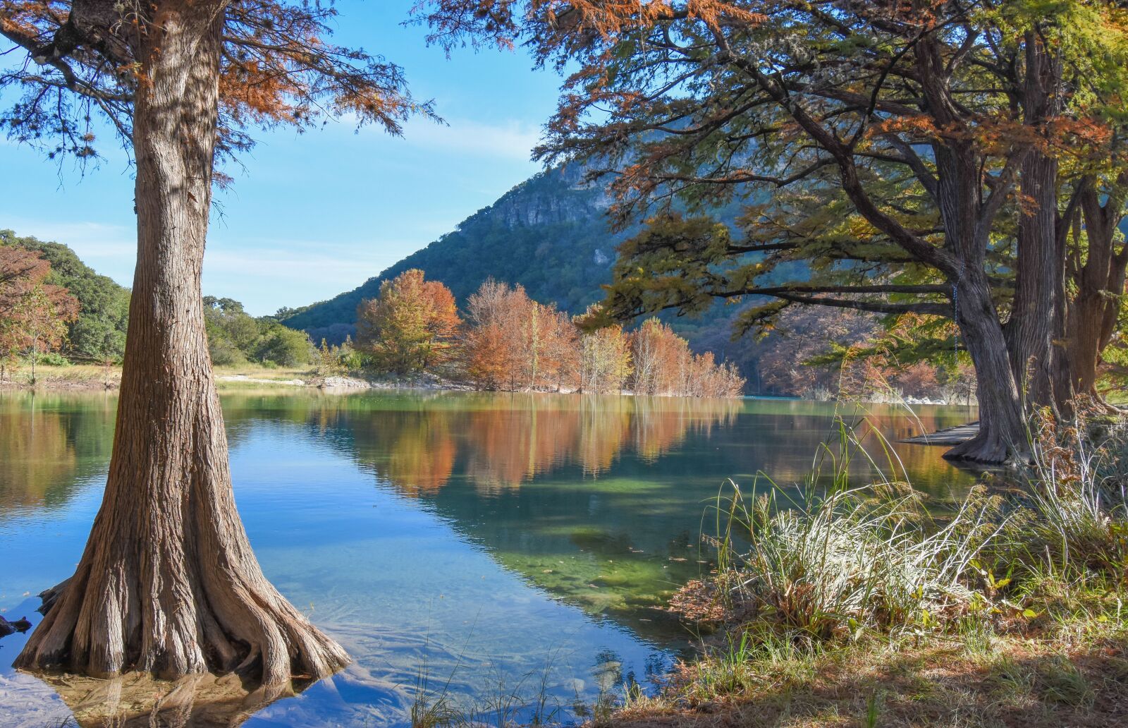 Nikon D7200 sample photo. Tree, water, river photography