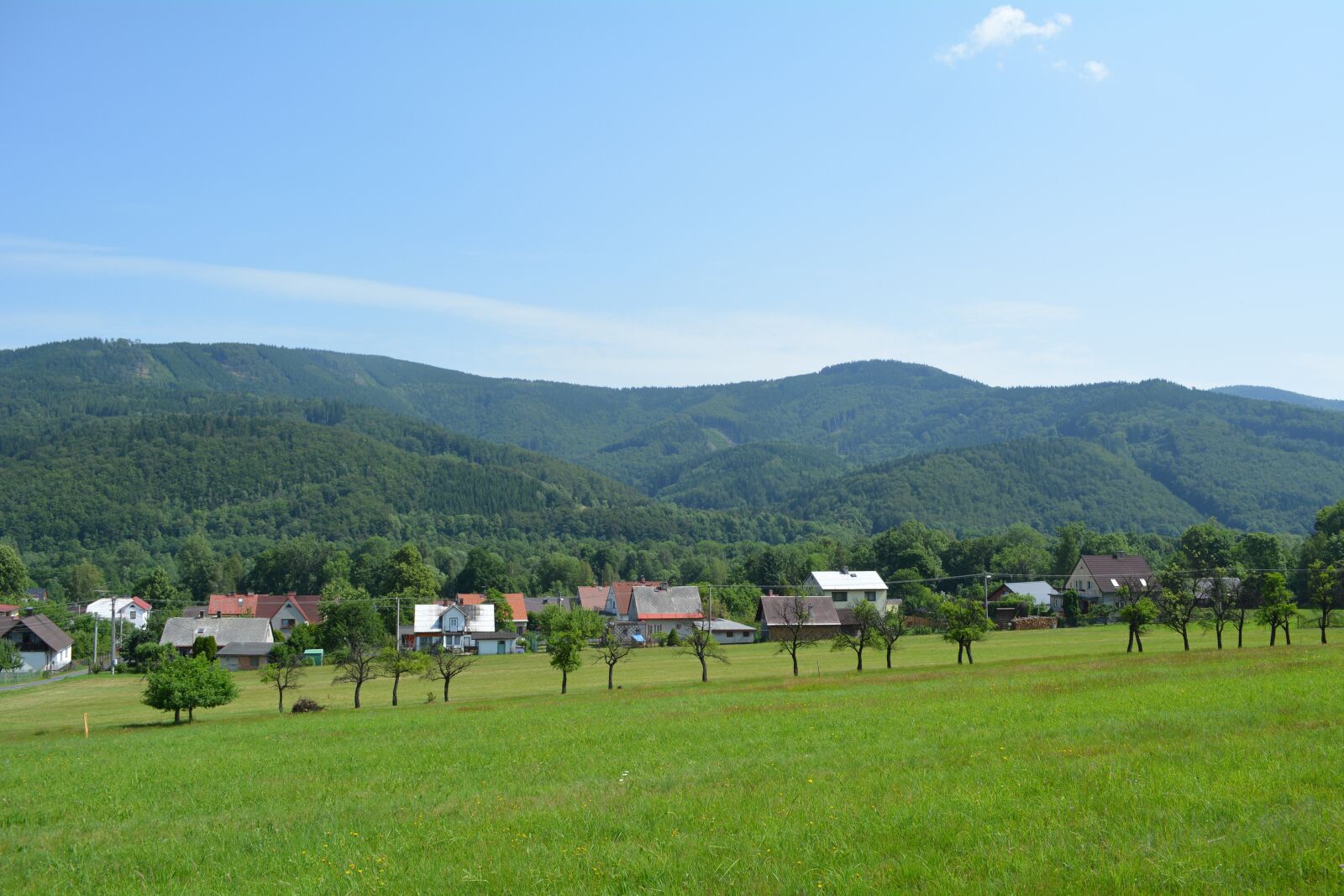 Nikon D5200 sample photo. Village, panorama, grass photography