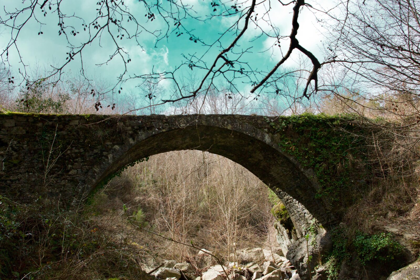 Nikon D3100 sample photo. Bridge, river, sky photography