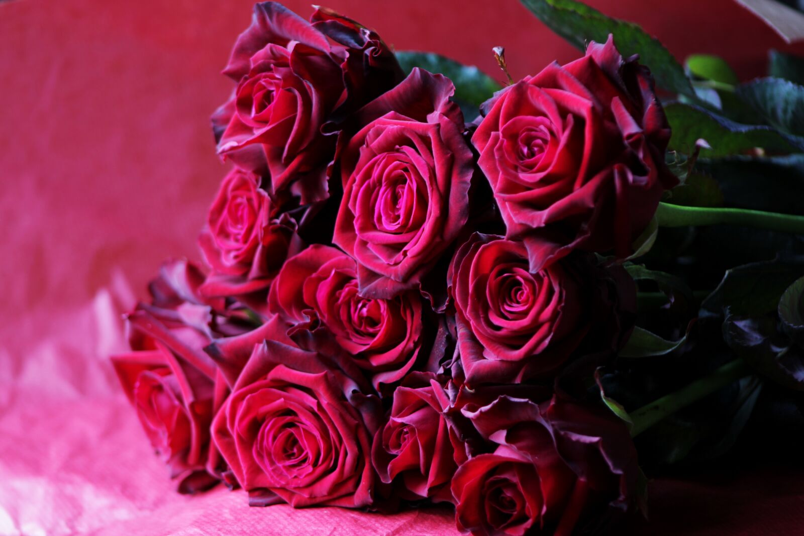 Canon EOS 2000D (EOS Rebel T7 / EOS Kiss X90 / EOS 1500D) sample photo. Bouquet, red rose, rose photography