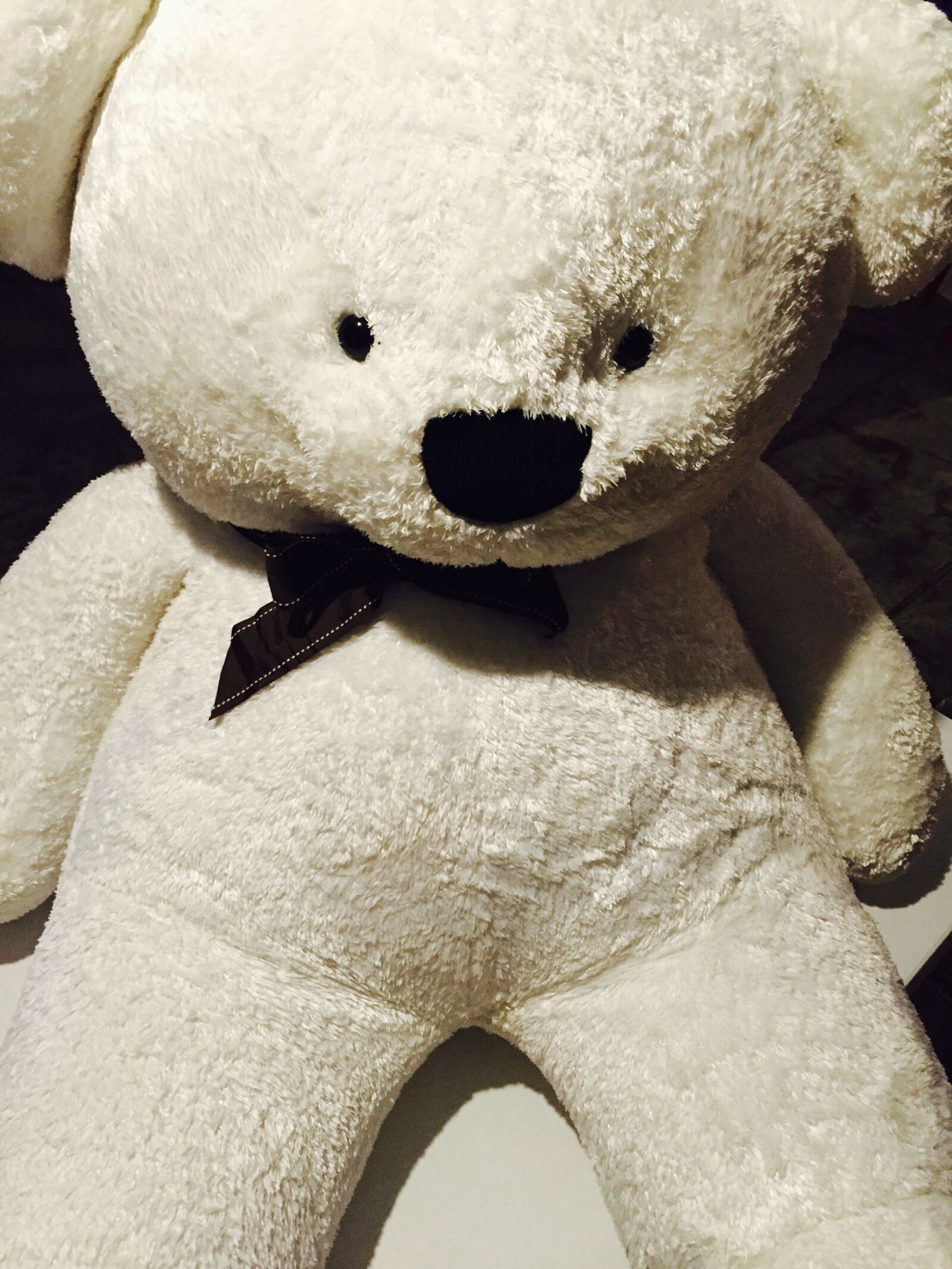 Apple iPhone 6 sample photo. Bear, stuffed toy, teddy photography