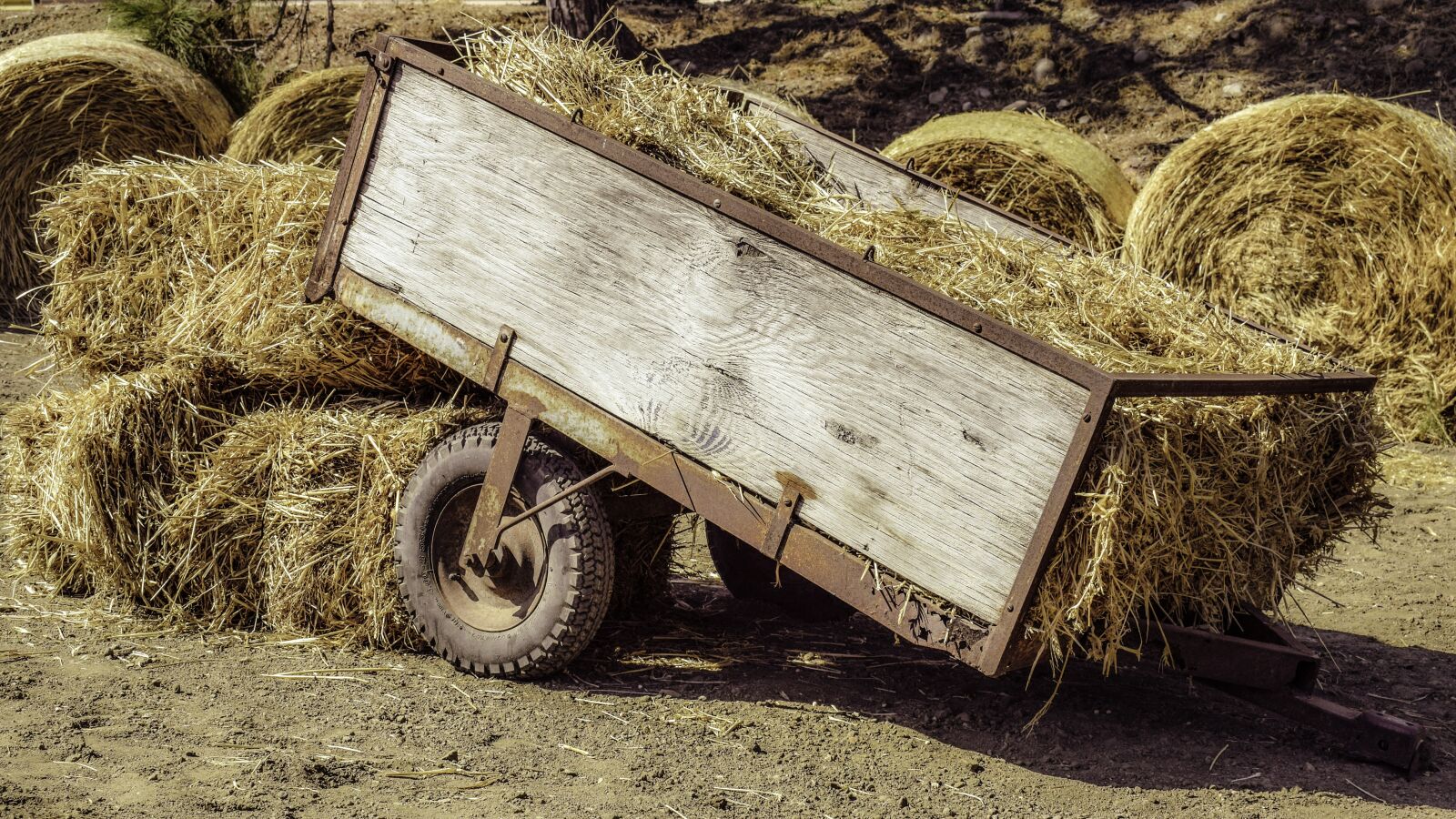 Nikon D3300 sample photo. Wagon, bales, hay photography