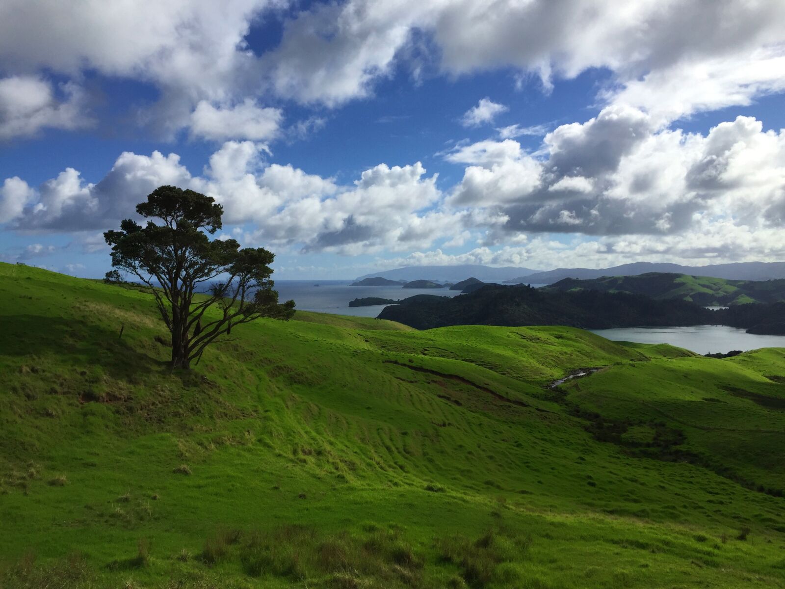Apple iPhone 6 sample photo. Landscape, nature, new zealand photography
