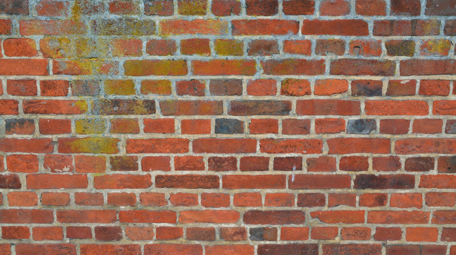 Nikon D5200 sample photo. Wall, background, structure photography
