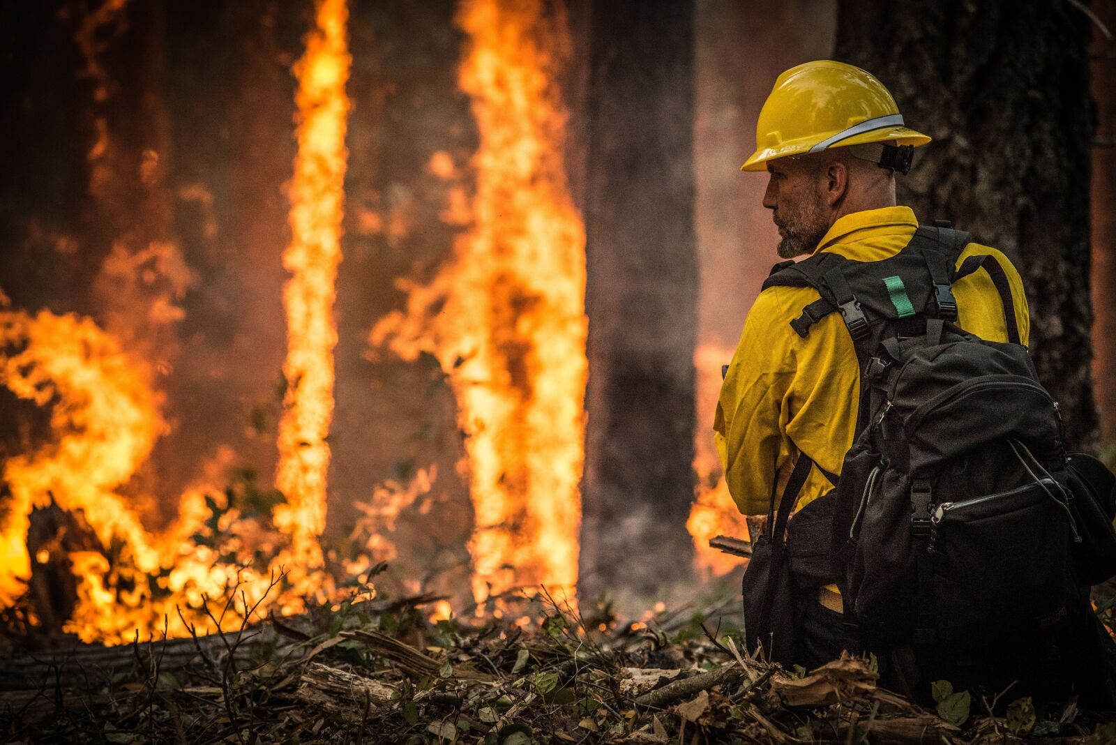 Nikon D800 sample photo. Forest fire, wildfire, blaze photography