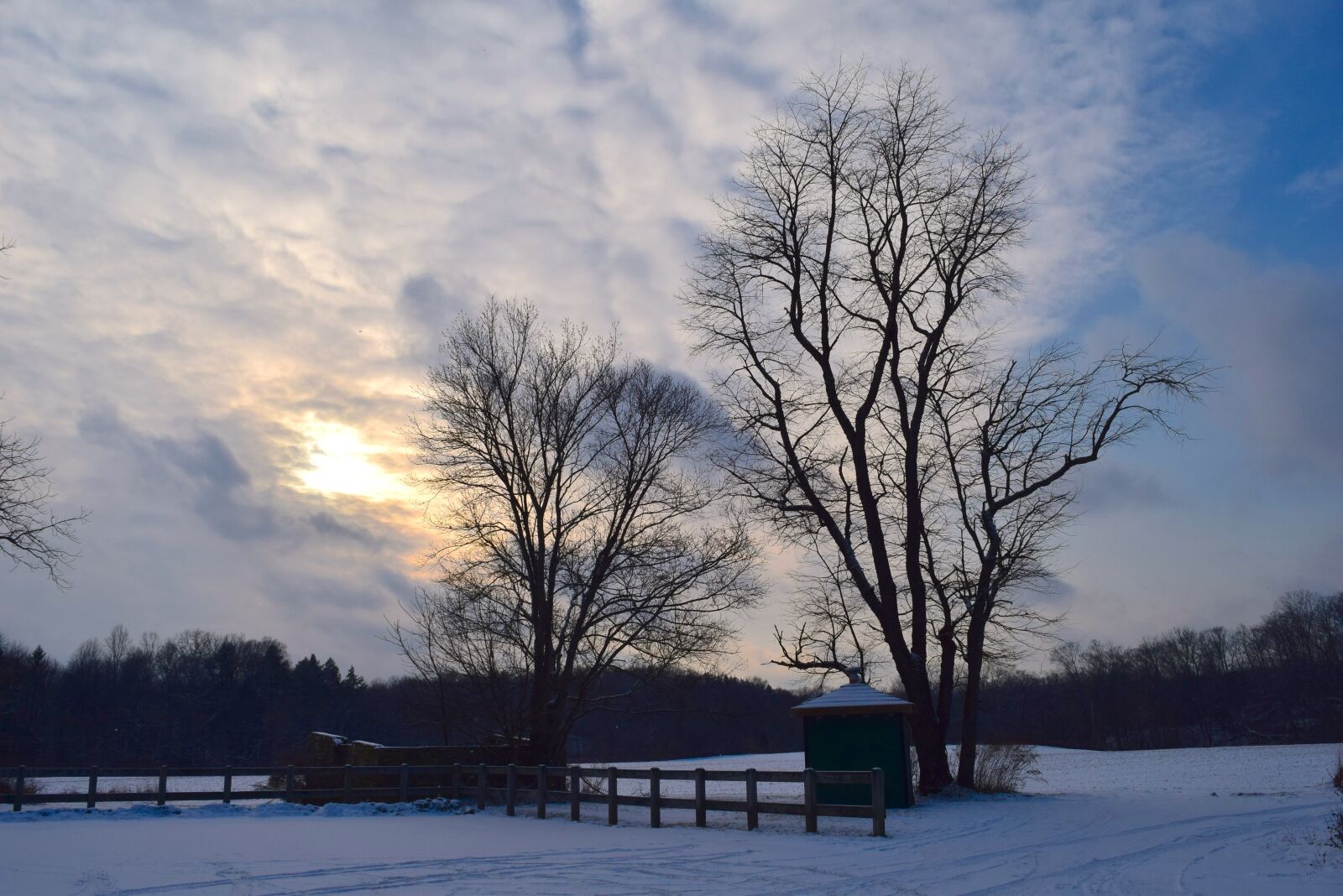 Nikon D3300 sample photo. Winter, tree, nature photography