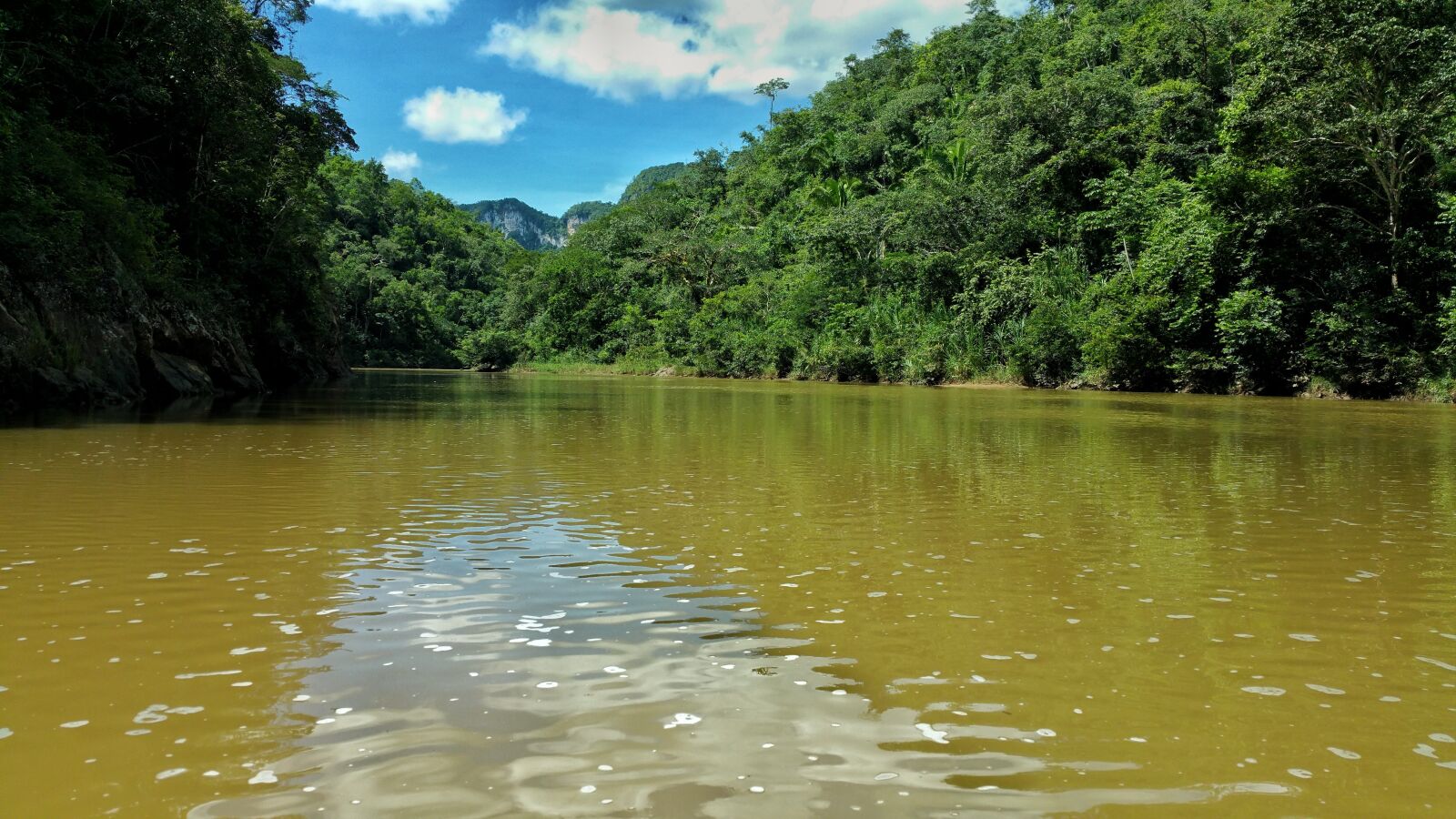 Samsung Galaxy Note4 sample photo. River, jungle, water photography
