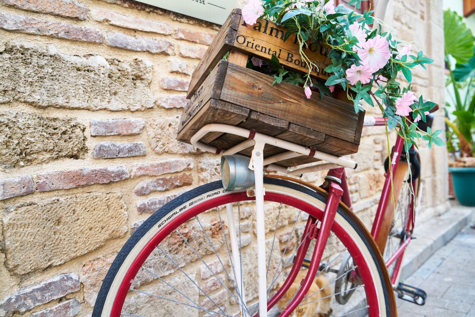 Sony a7R II sample photo. Bicycle, flower, flowerpot photography