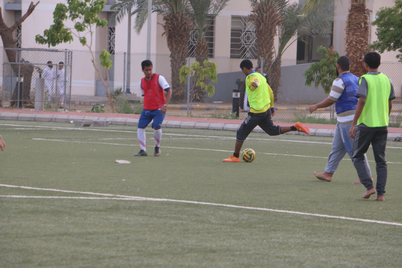 Canon EOS 70D sample photo