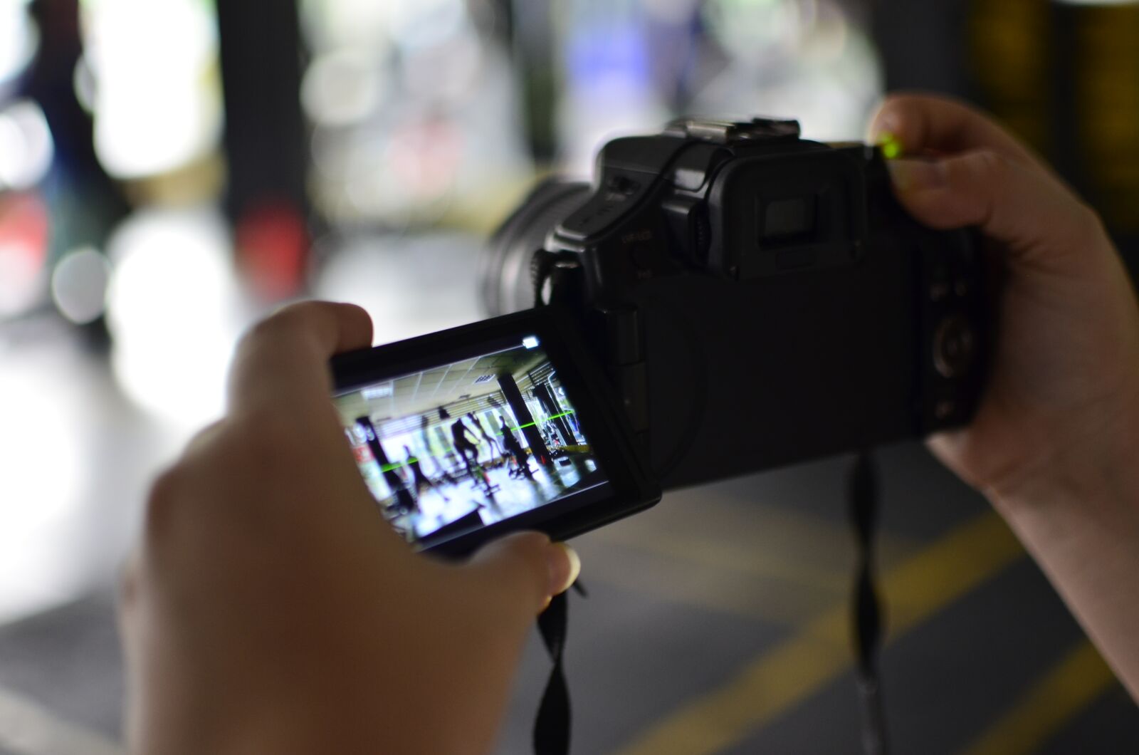 Nikon D5100 sample photo. Camera, cinema, photography photography