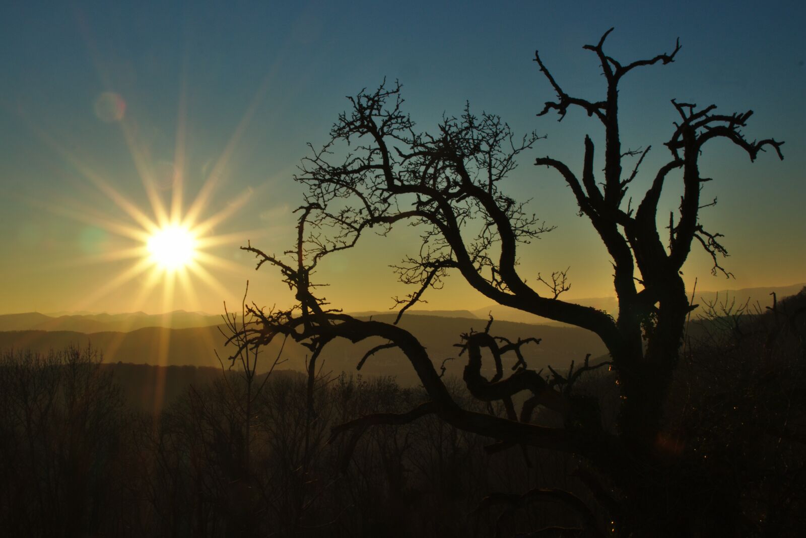 Canon EOS M5 + Canon EF-M 18-150mm F3.5-6.3 IS STM sample photo. Sun, tree, sunset photography