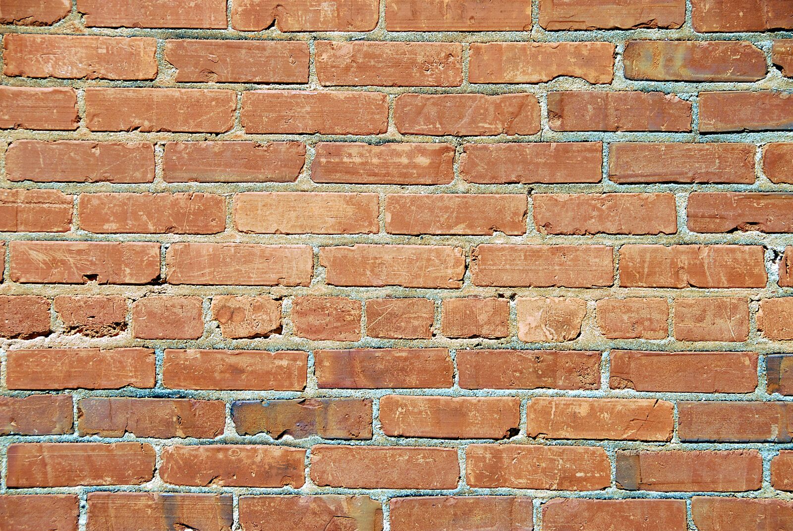 Nikon D200 sample photo. Red brick, wall, background photography