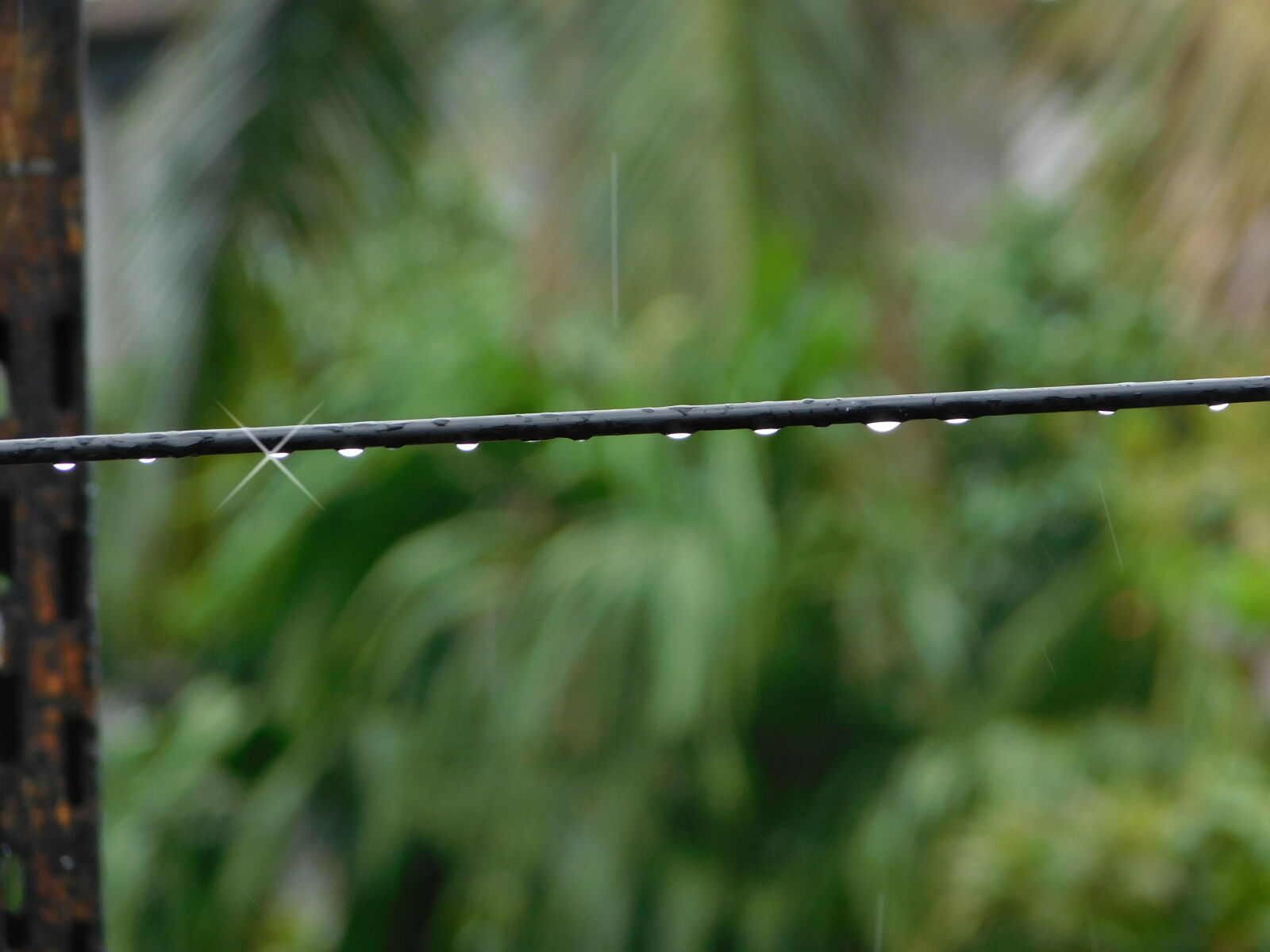 Nikon Coolpix L840 sample photo. Electrical, wires, raindrops photography