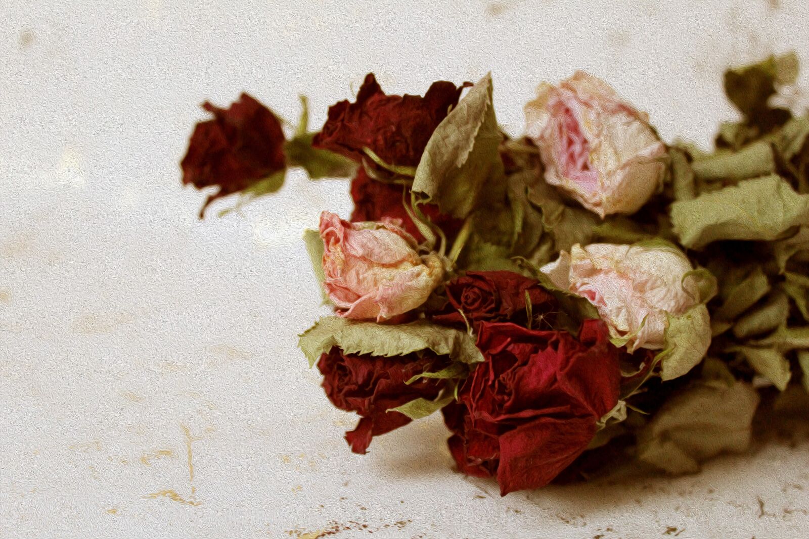 Canon EOS 600D (Rebel EOS T3i / EOS Kiss X5) sample photo. Vintage, romantic, background photography