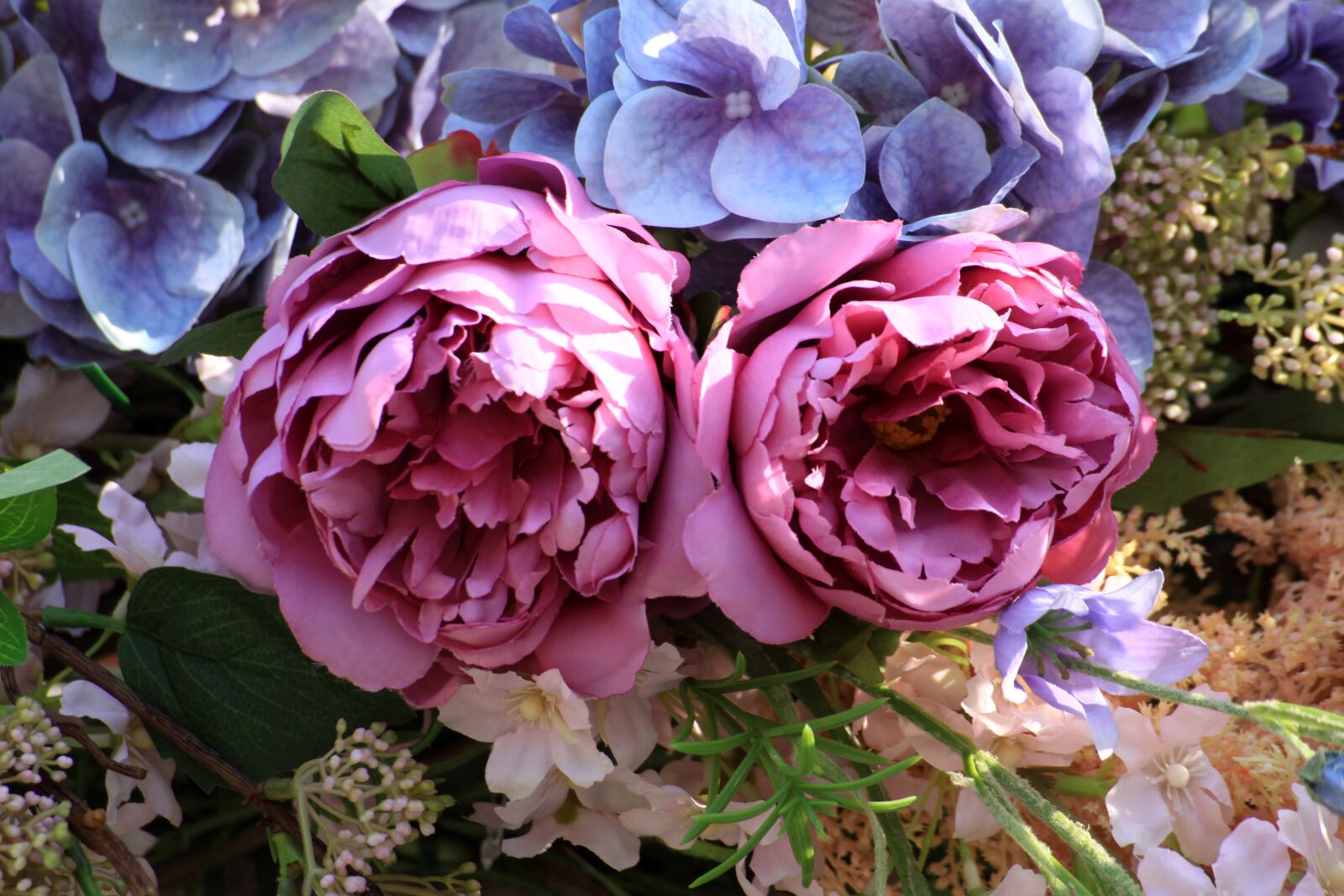 Canon EOS 50D sample photo. Rose, harmony, ornament photography