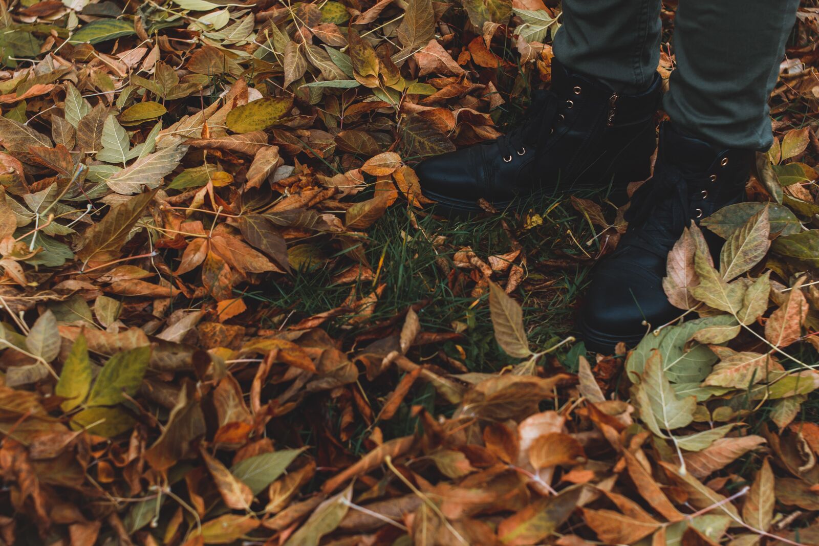 Nikon D5300 sample photo. Shoes, autumn, autumn nature photography