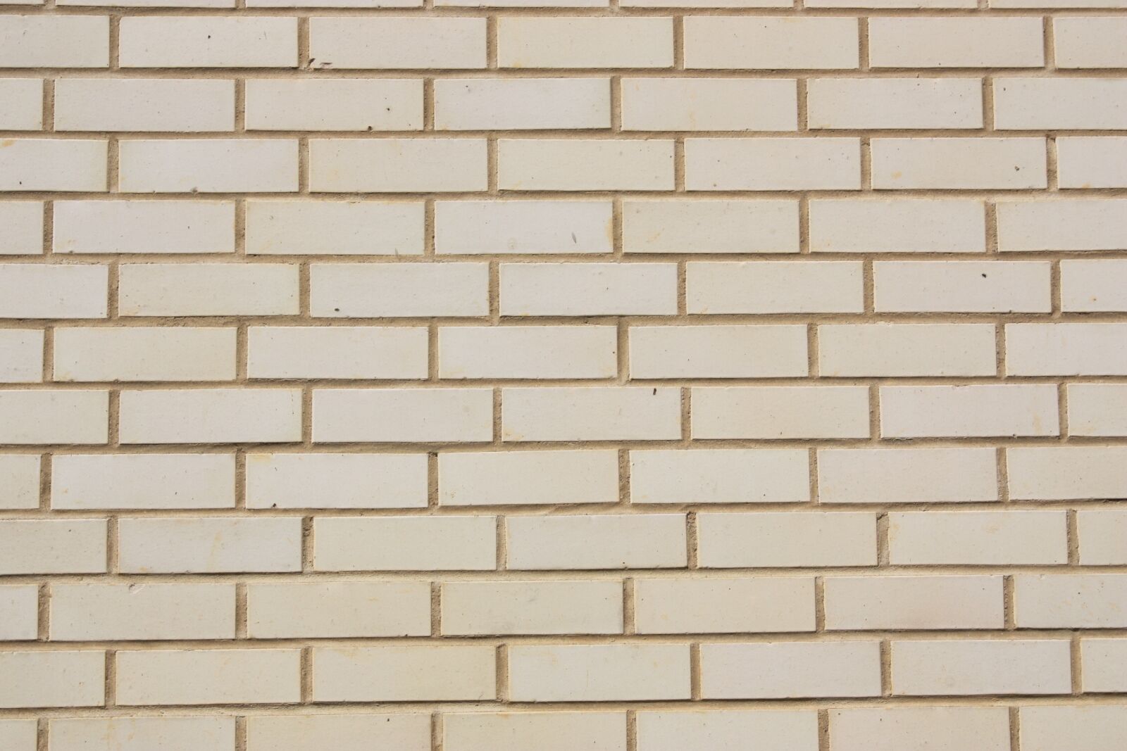 Canon EOS 450D (EOS Rebel XSi / EOS Kiss X2) sample photo. Wall, bricks, light photography