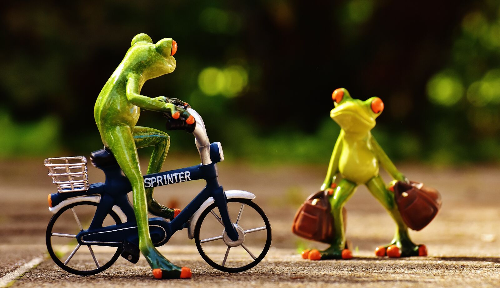 Nikon D7200 sample photo. Frogs, arrive, bike photography