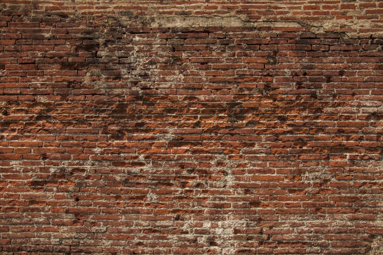 Nikon D90 sample photo. Wall, texture, stone photography