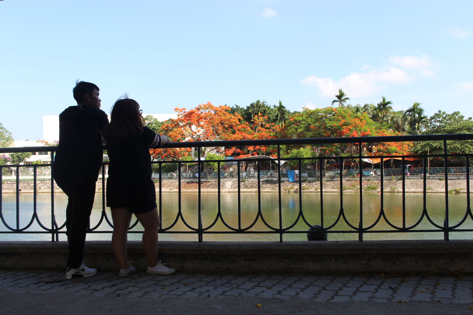Canon EOS 700D (EOS Rebel T5i / EOS Kiss X7i) sample photo
