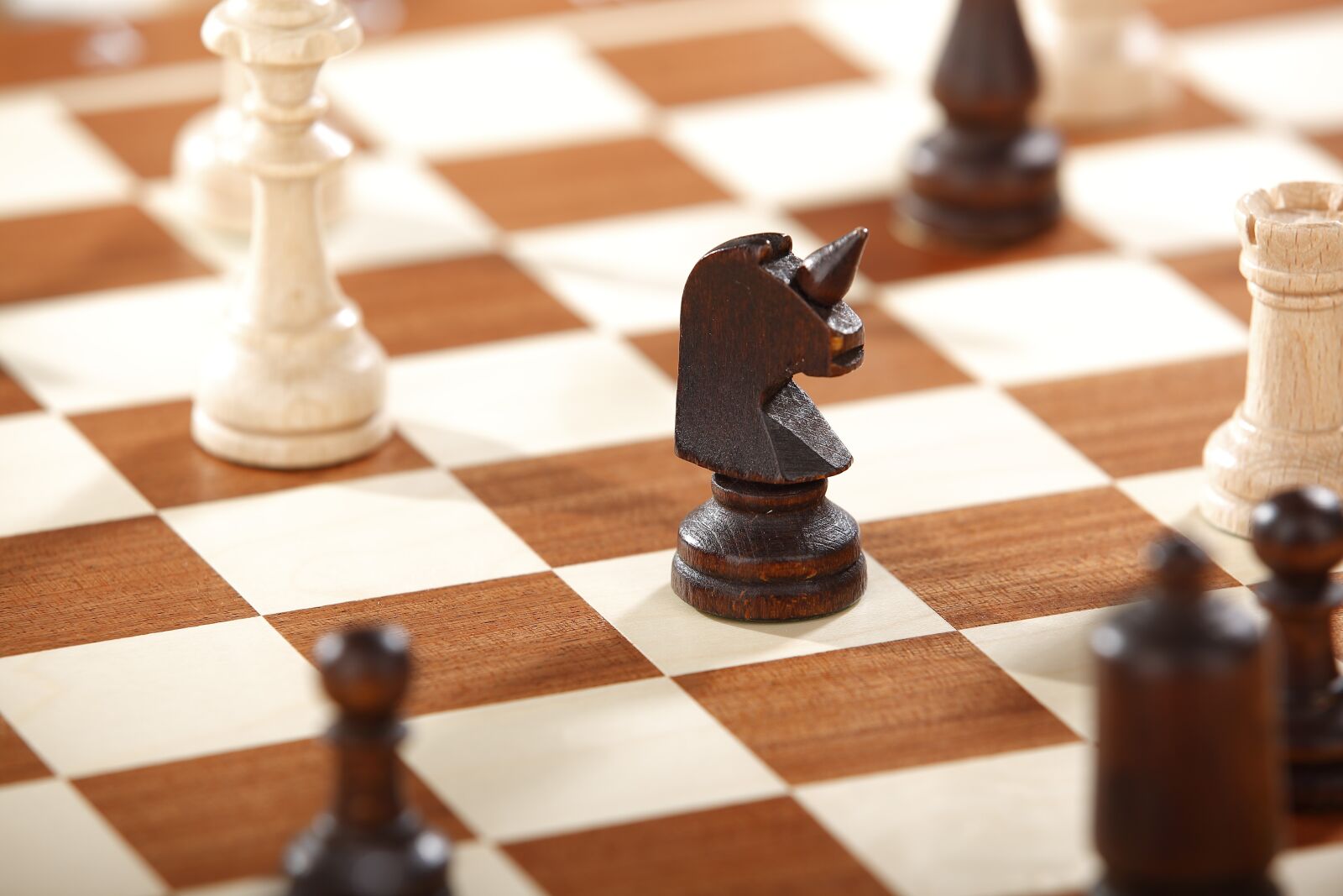 Canon EOS 5D Mark II sample photo. Unicorn, chess variant, large photography