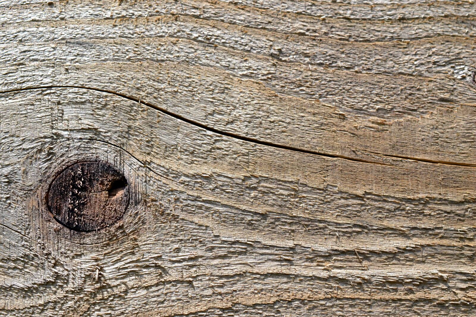 Nikon D3100 sample photo. Wood knot, hardwood, texture photography