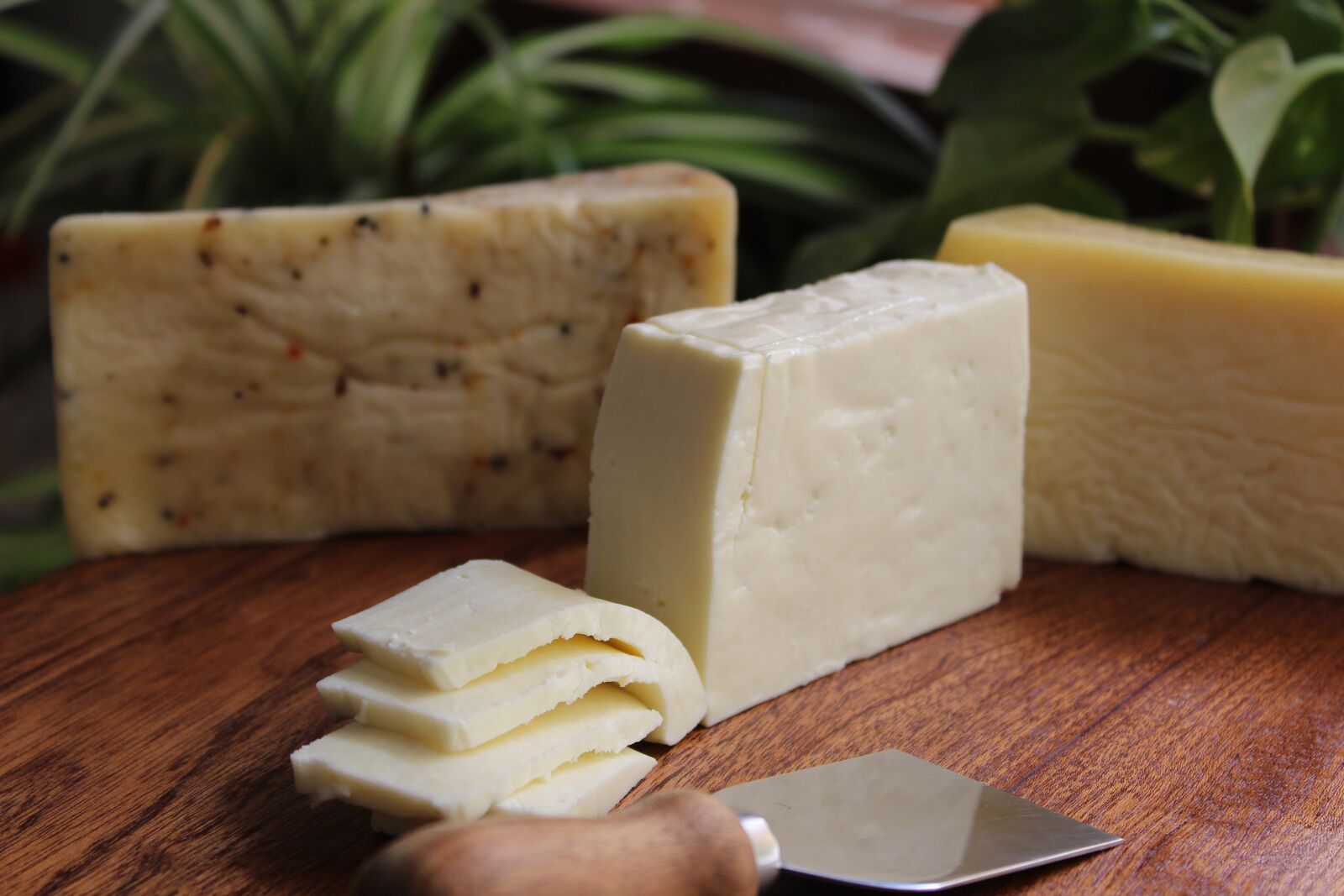 Canon EOS 1300D (EOS Rebel T6 / EOS Kiss X80) sample photo. Cheese, artisanal cheese, handmade photography