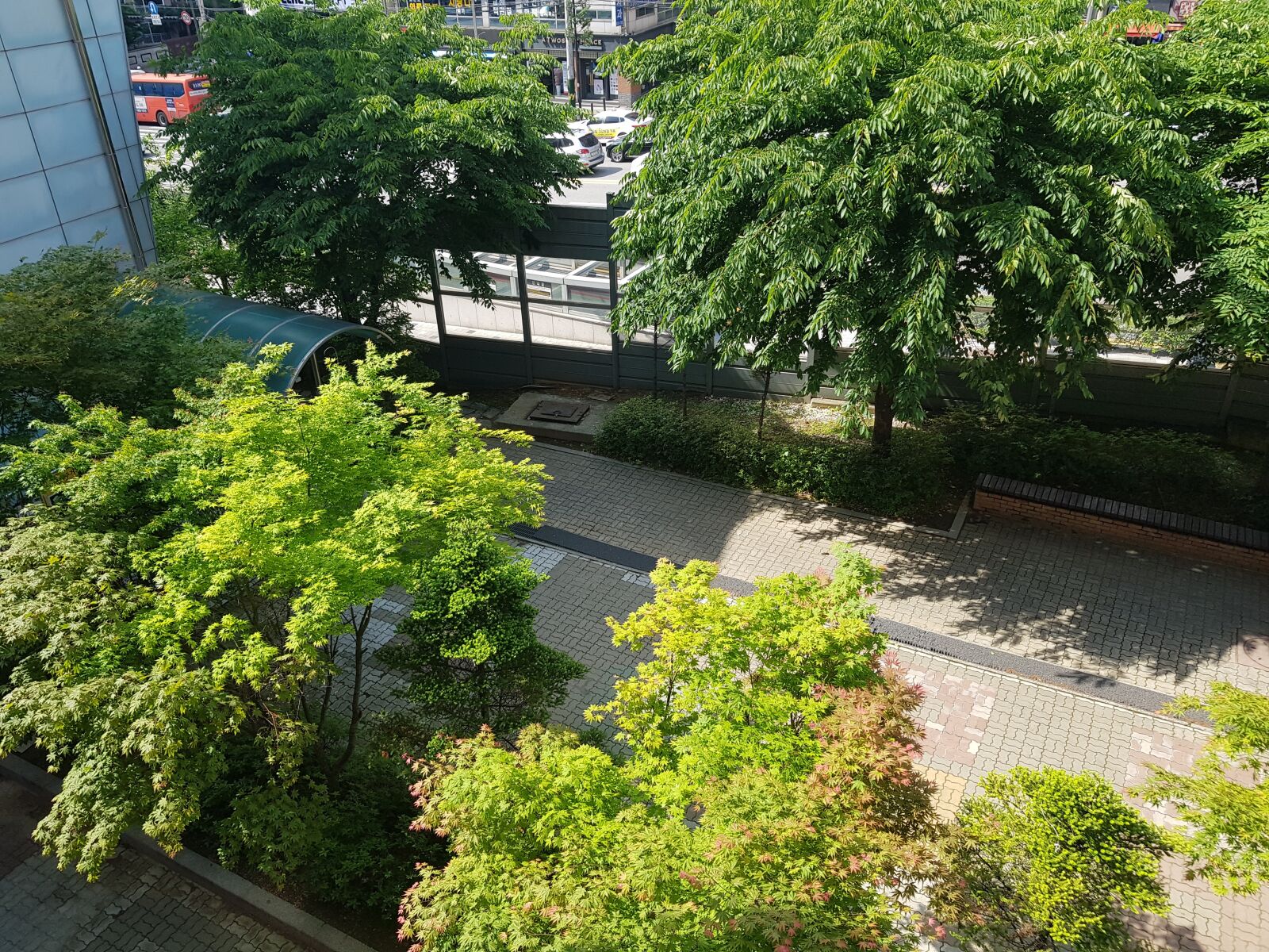 Samsung Galaxy S8+ sample photo. Park, trees, green photography