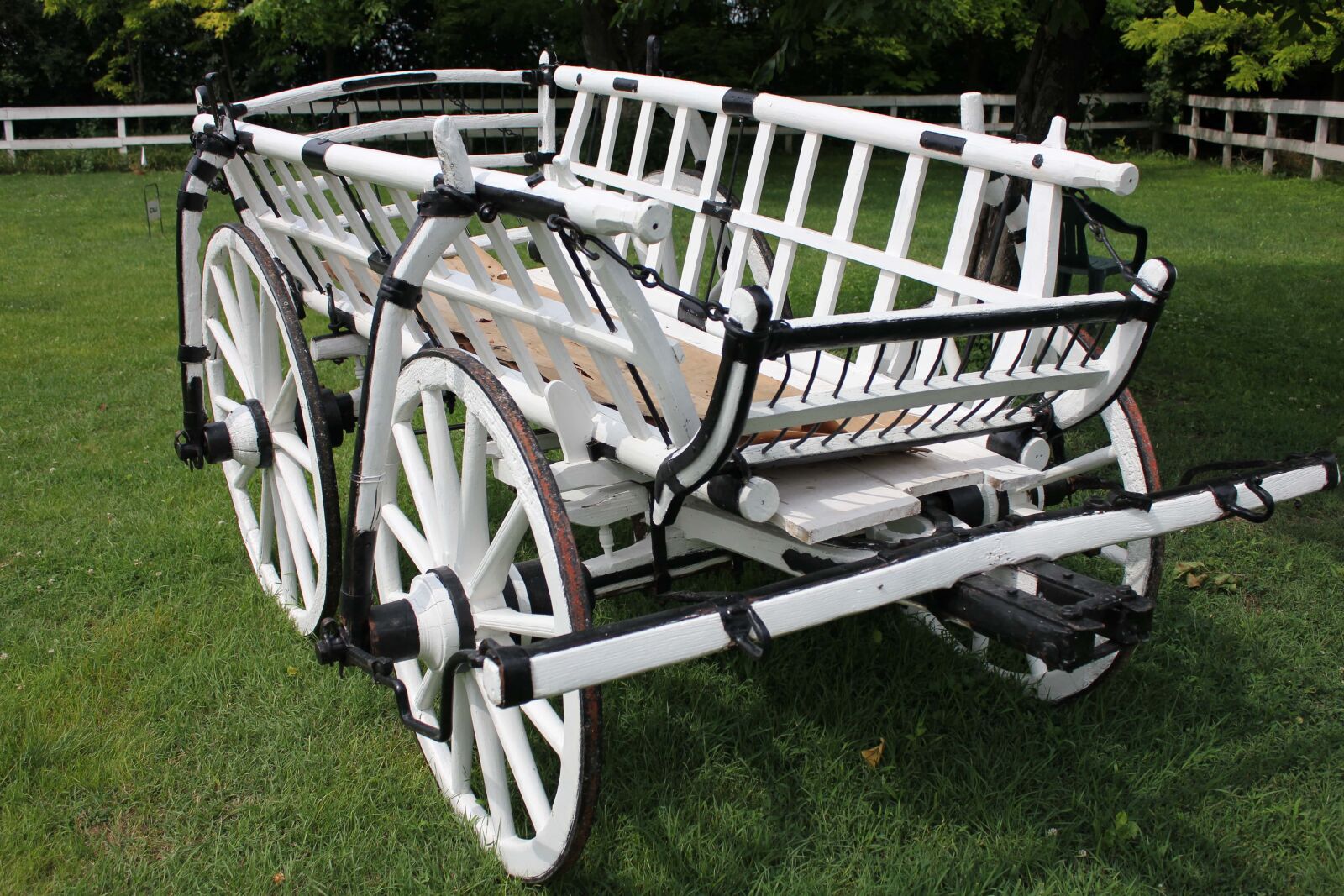 Canon EF-S 18-55mm F3.5-5.6 IS sample photo. Carriage, village, backyard, wheel photography