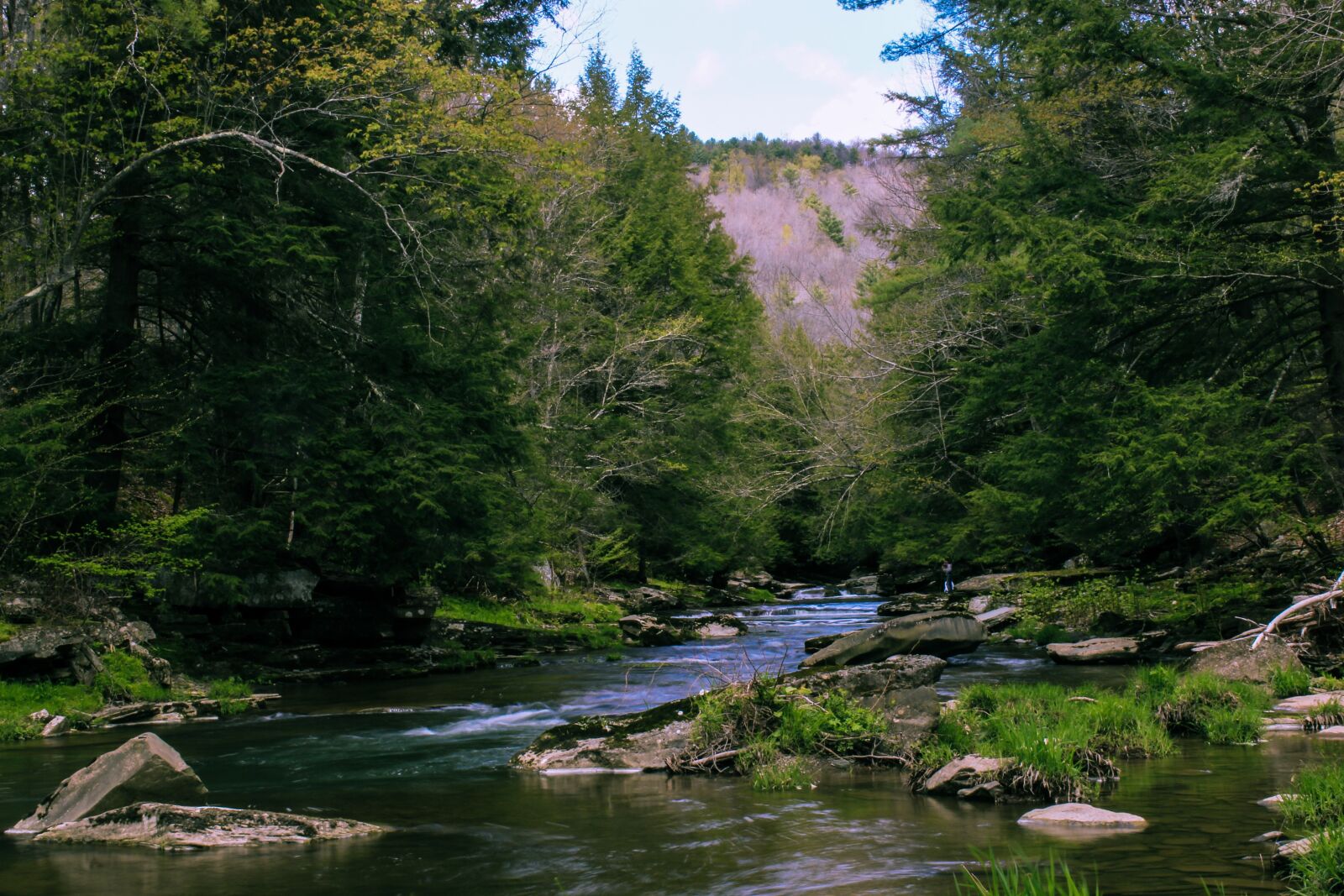 Canon EOS 600D (Rebel EOS T3i / EOS Kiss X5) sample photo. Creek, forest, mountain photography