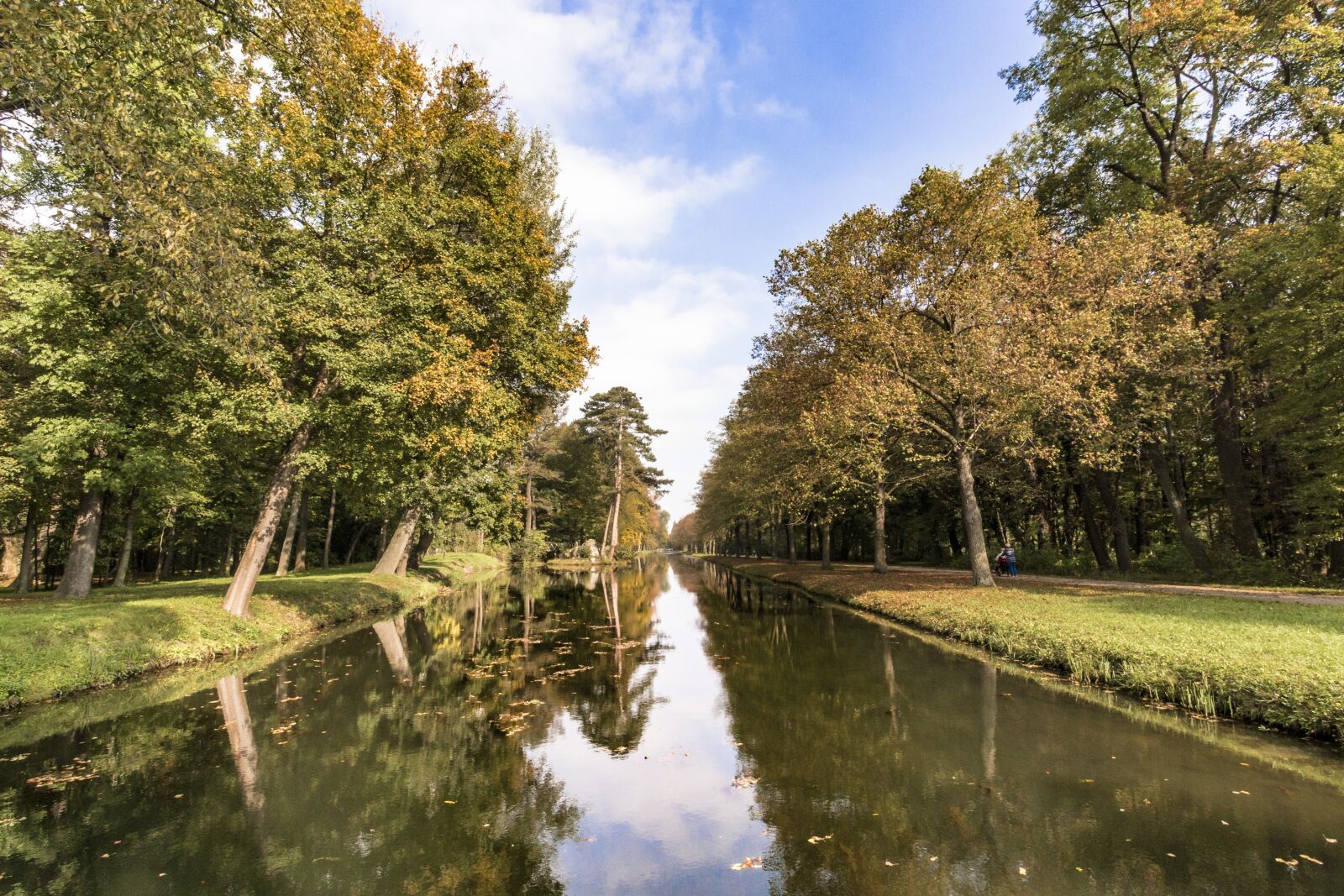 Canon EOS 70D sample photo. Channel, trees, nature photography