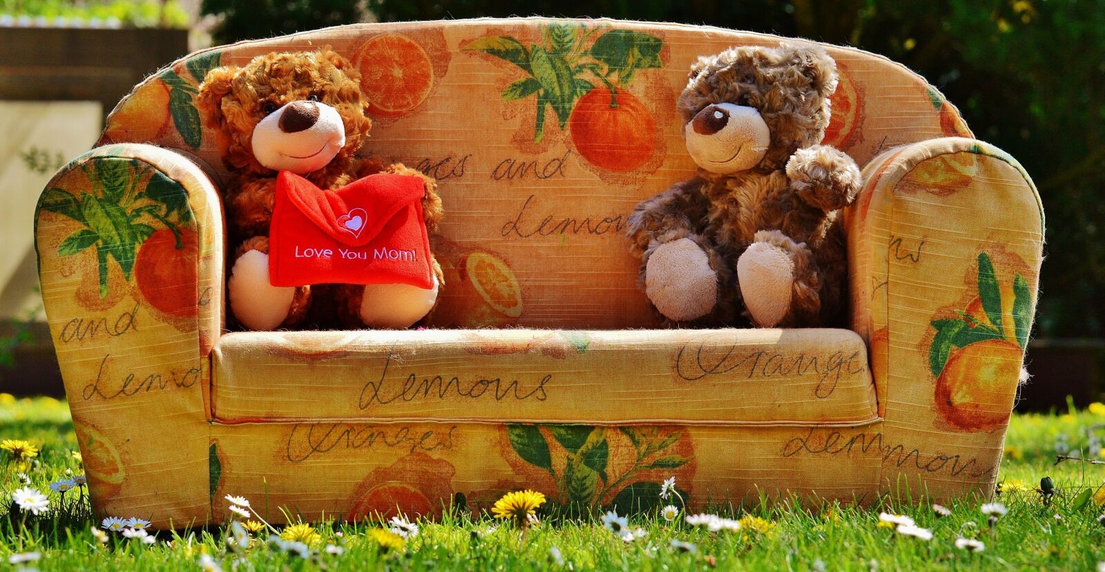 Nikon D3200 sample photo. Teddy, mother's day, love photography