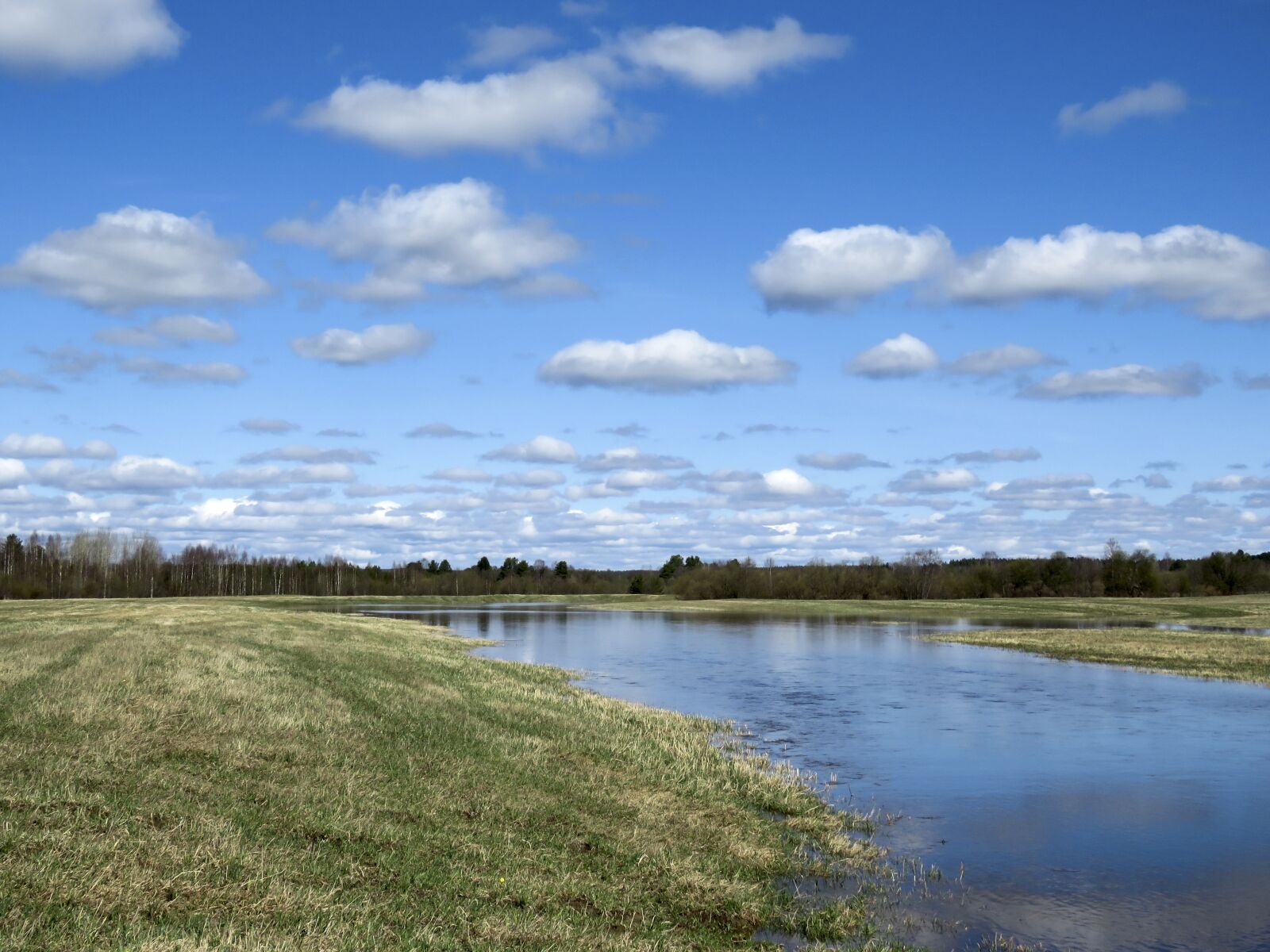 Canon PowerShot SX60 HS sample photo. Landscape, water meadow, spill photography