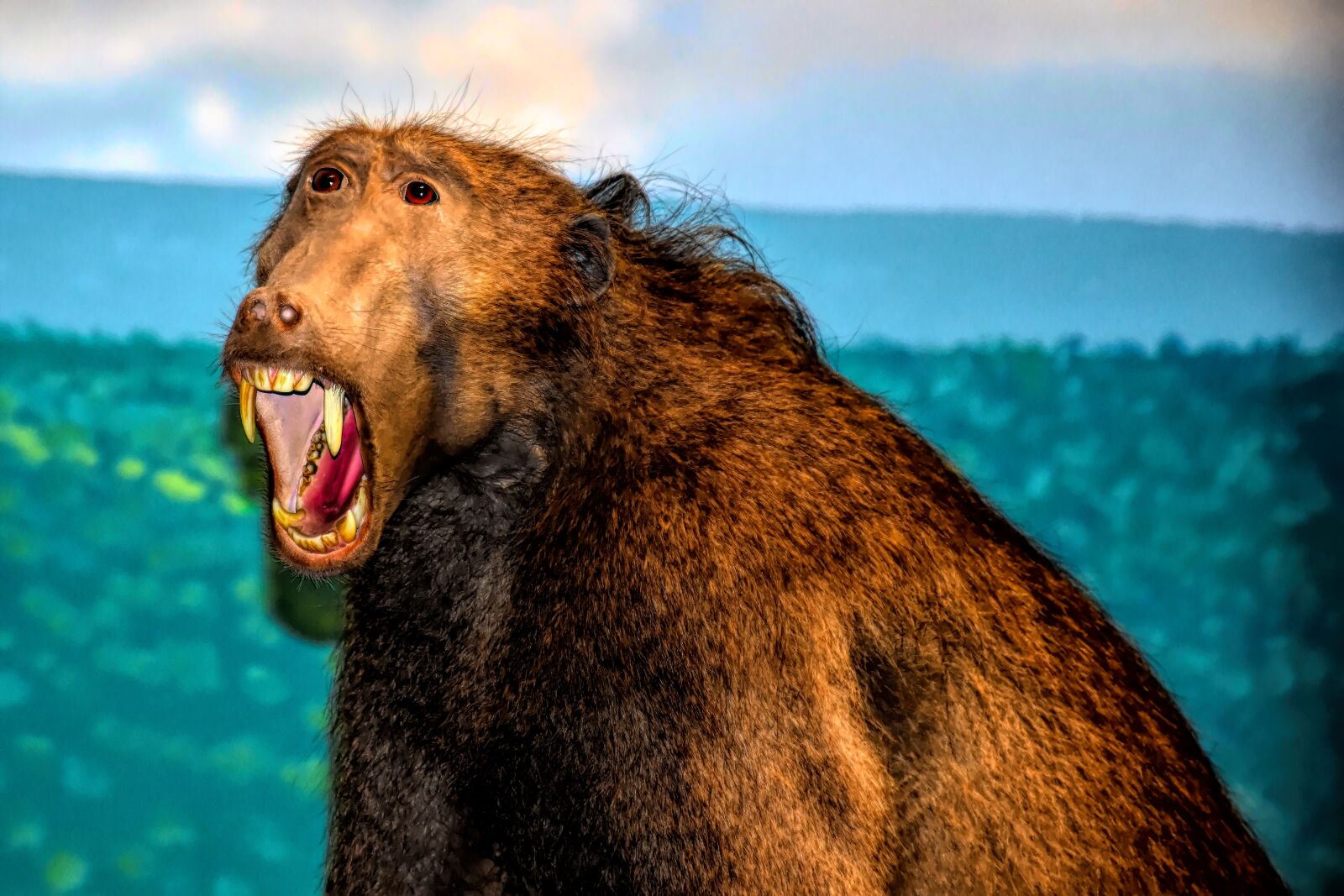 Nikon D5500 sample photo. Baboon, wildlife, africa photography