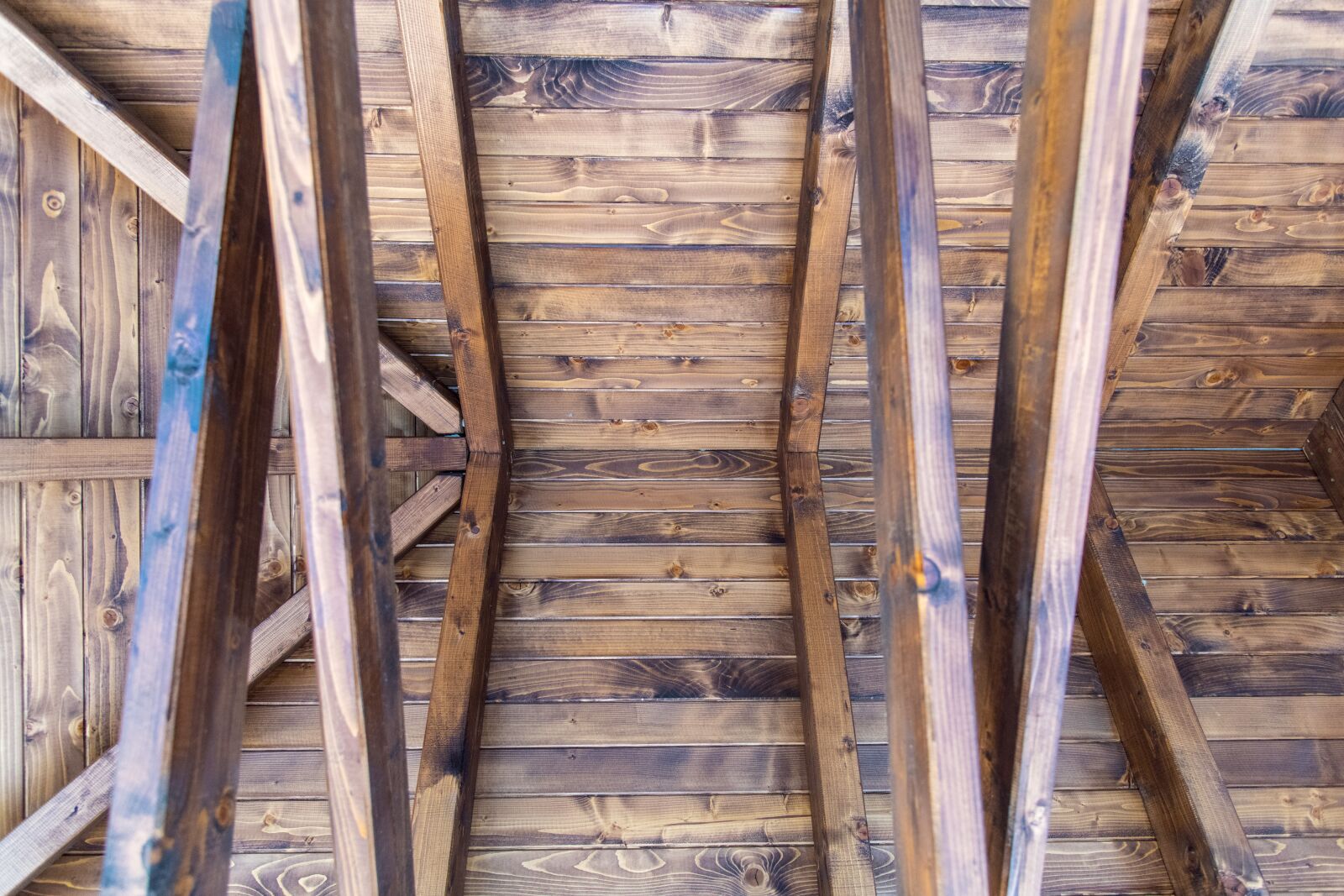 Nikon D850 sample photo. Wood, the roof of photography