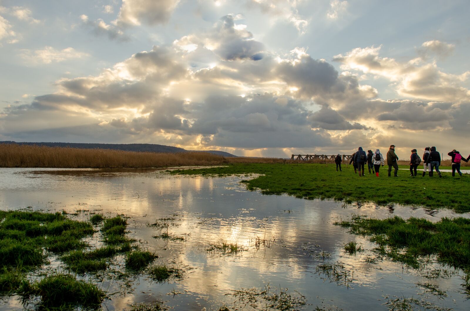 Nikon D7000 sample photo. France, landscape, reed bed photography