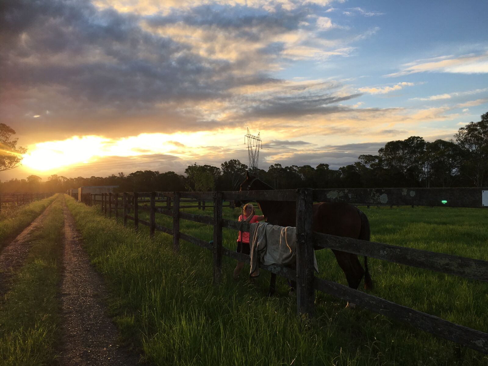 Apple iPhone 6s sample photo. Horse, paddock, australia photography