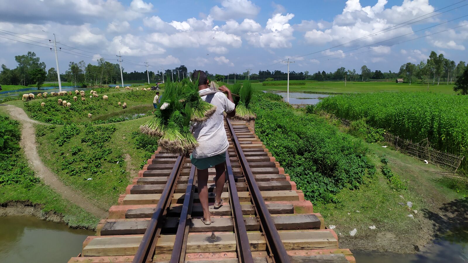 Xiaomi Redmi Note 7 sample photo. Natural scenery, rail line photography