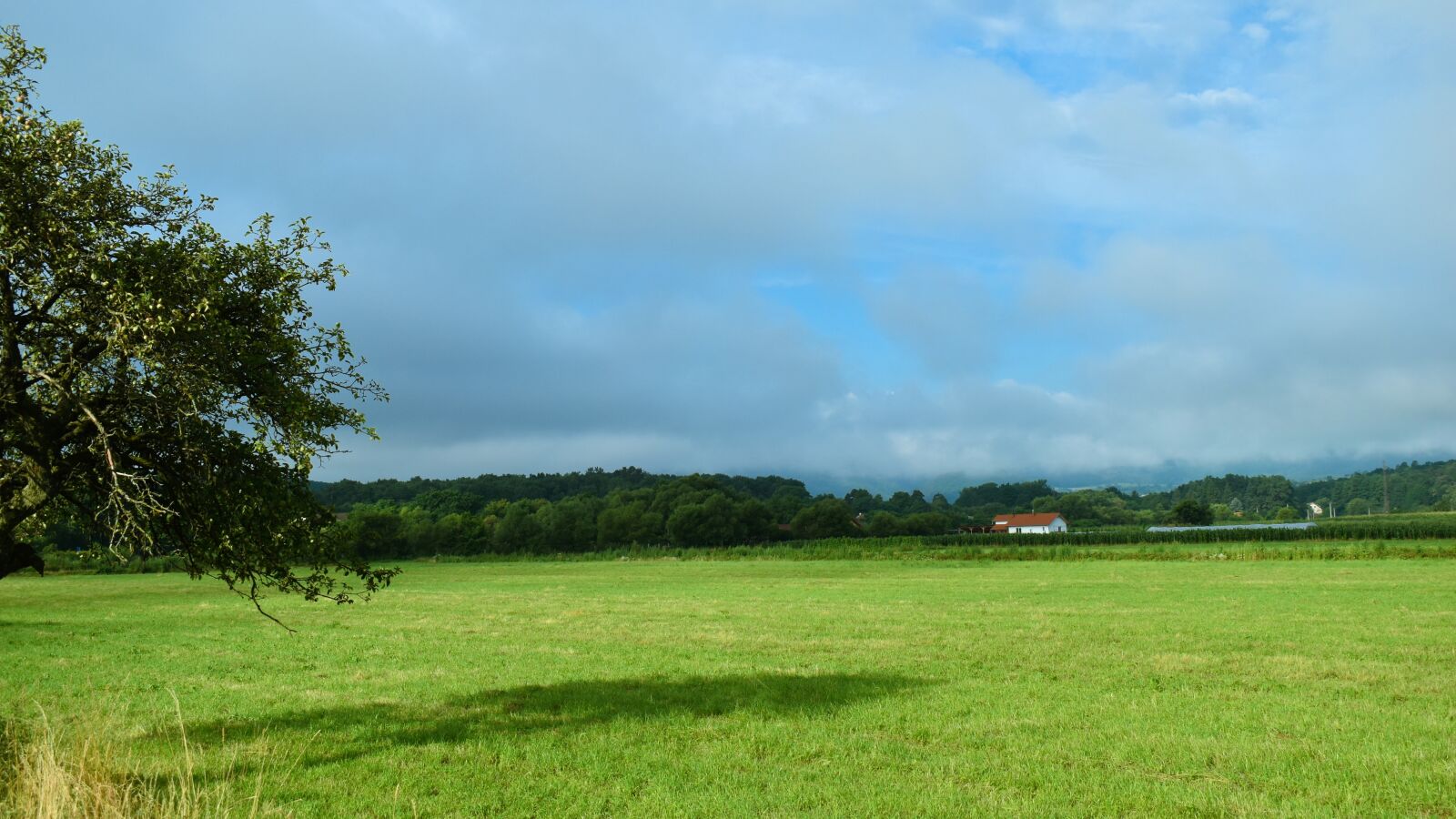 Nikon D3500 sample photo. Morning, landscape, sky photography