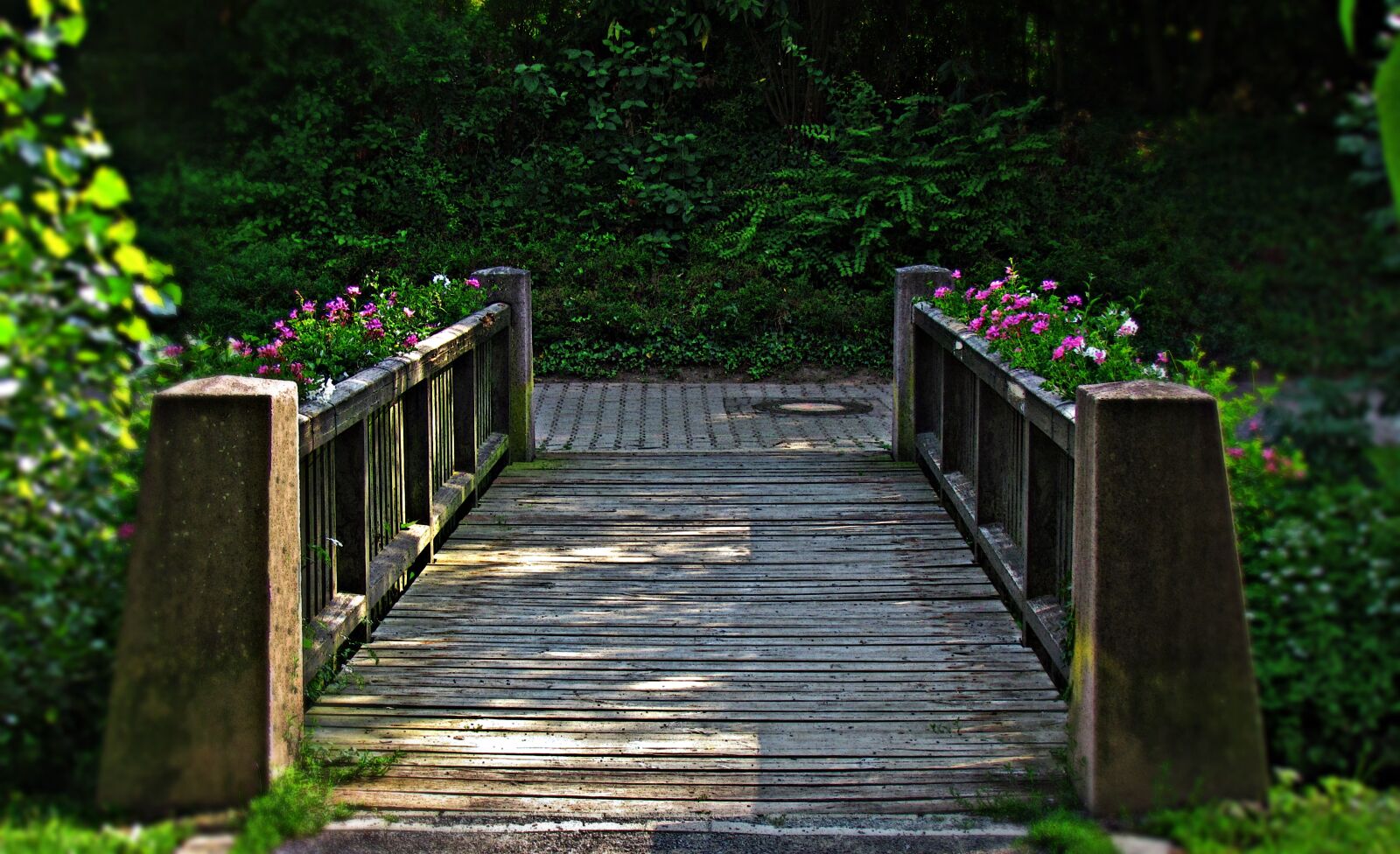 Canon PowerShot SX30 IS sample photo. Bridge, building, wooden photography