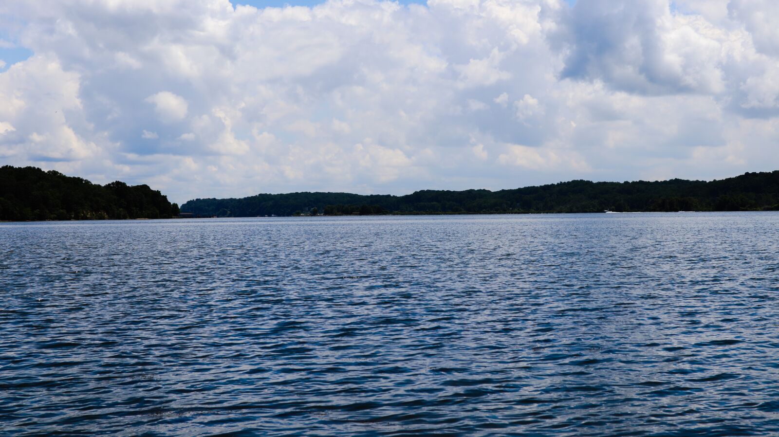 Canon EOS M50 (EOS Kiss M) sample photo. Water, river, forest photography