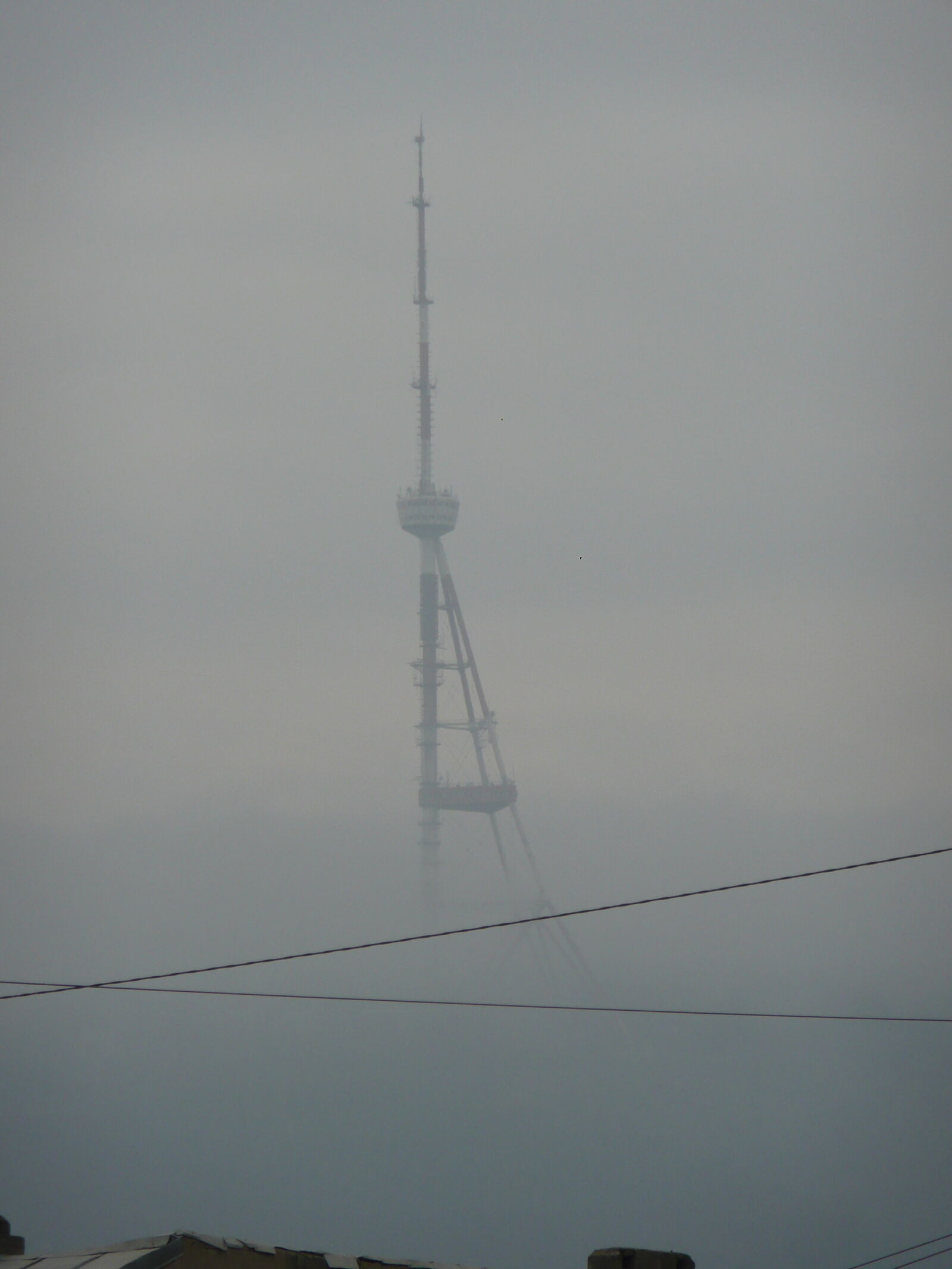 Panasonic DMC-TZ3 sample photo