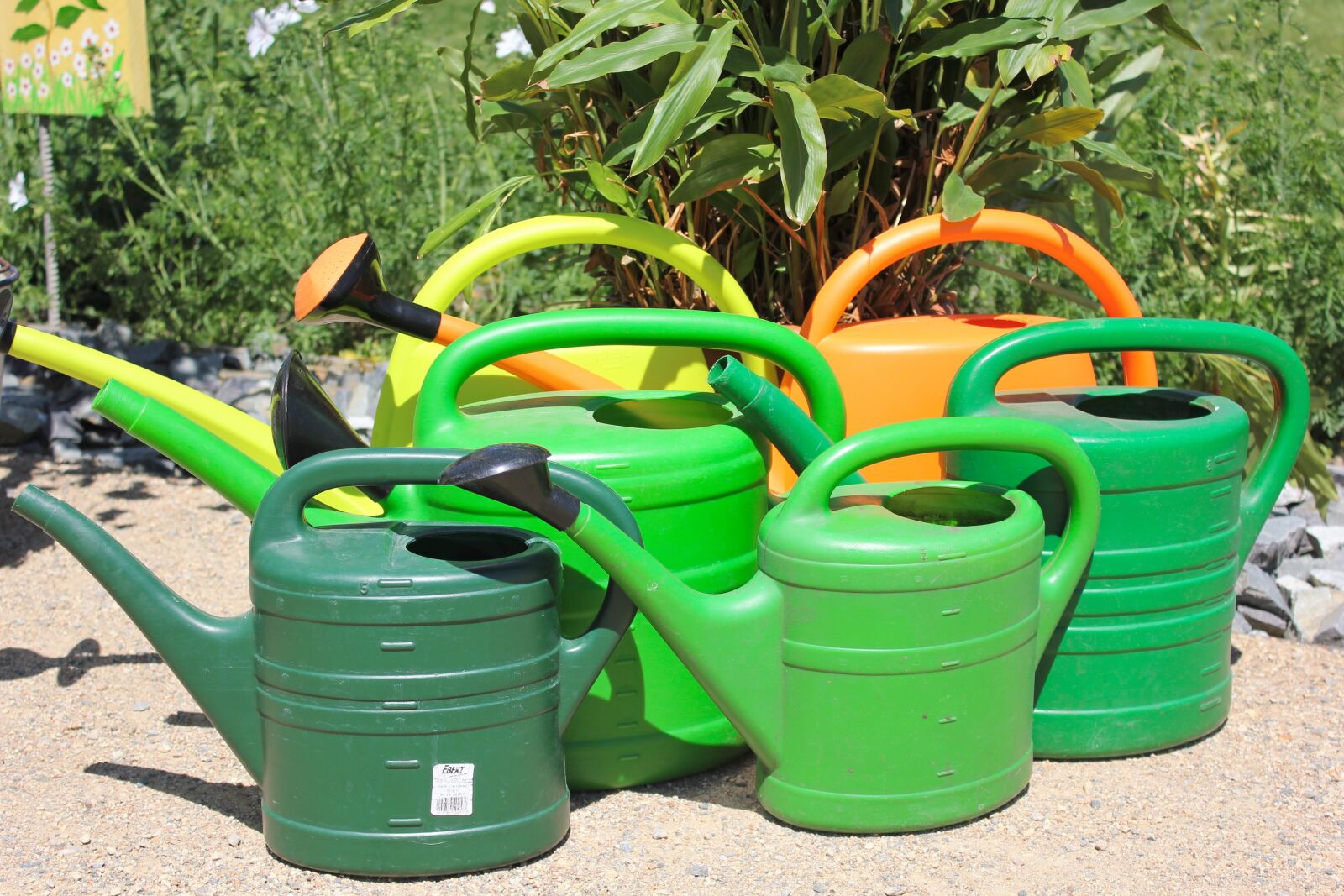 Canon EOS 550D (EOS Rebel T2i / EOS Kiss X4) sample photo. Watering cans, water flowers photography